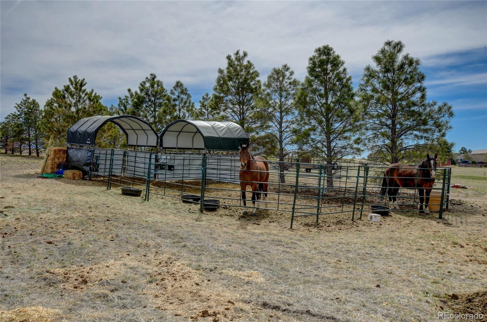 MLS Image #38 for 42109  vista ridge,parker, Colorado