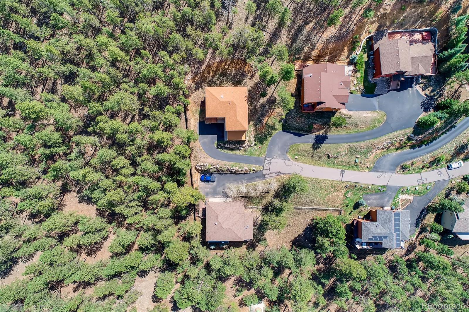 MLS Image #29 for 3106  buttercup lane,evergreen, Colorado