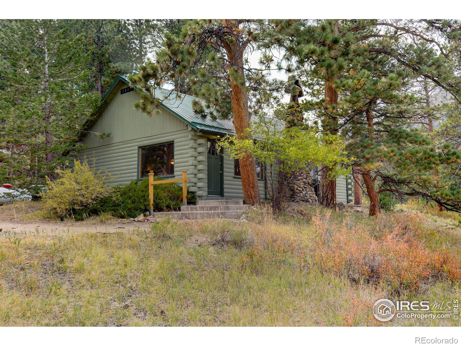 MLS Image #0 for 1051  rams horn road,estes park, Colorado