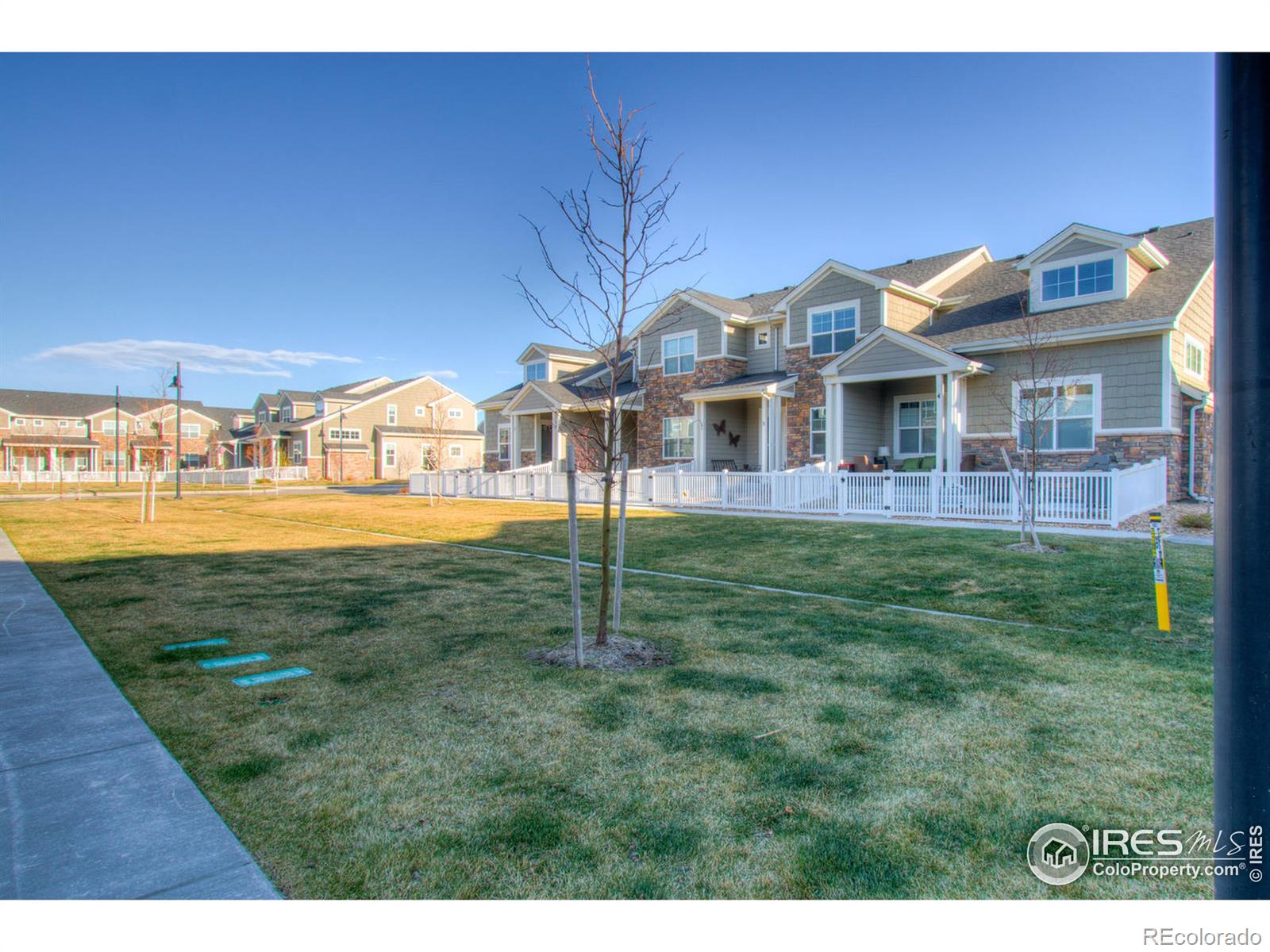 MLS Image #13 for 2156  montauk lane,windsor, Colorado