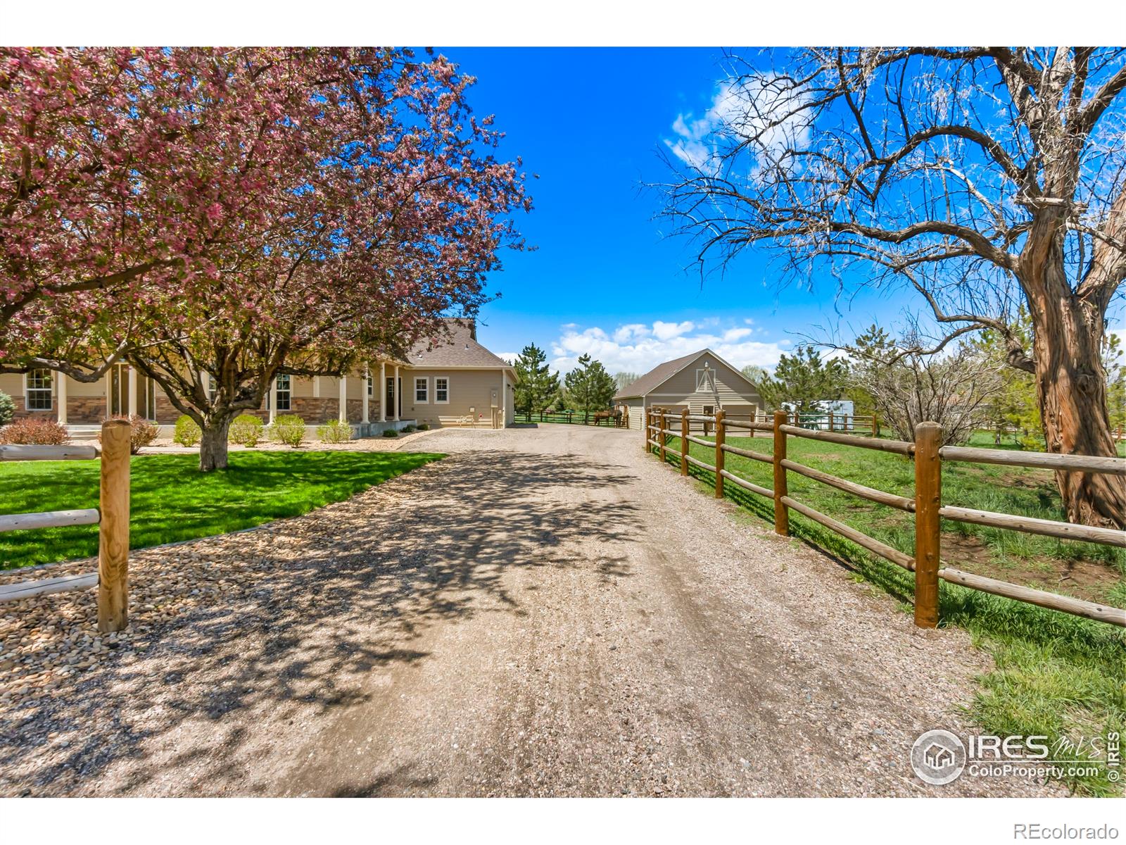 MLS Image #1 for 3325  turnberry road,fort collins, Colorado