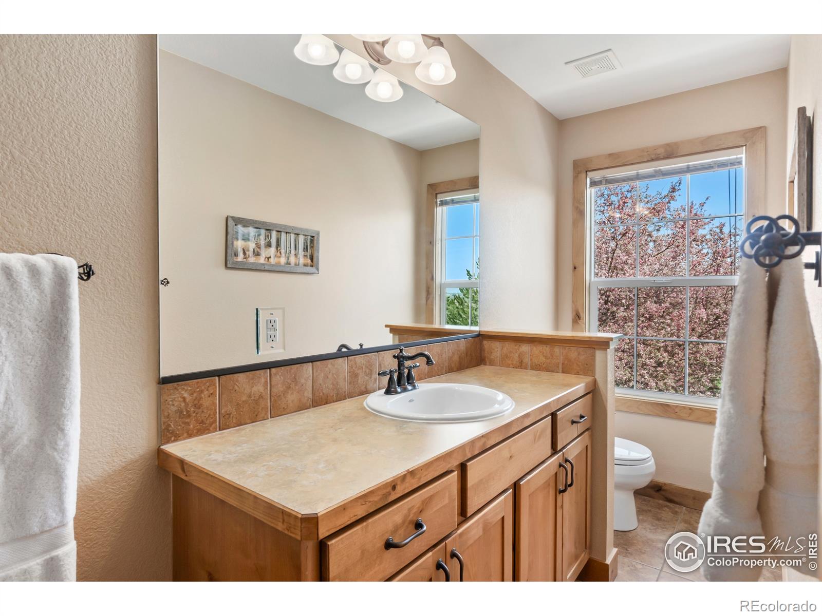 MLS Image #18 for 3325  turnberry road,fort collins, Colorado