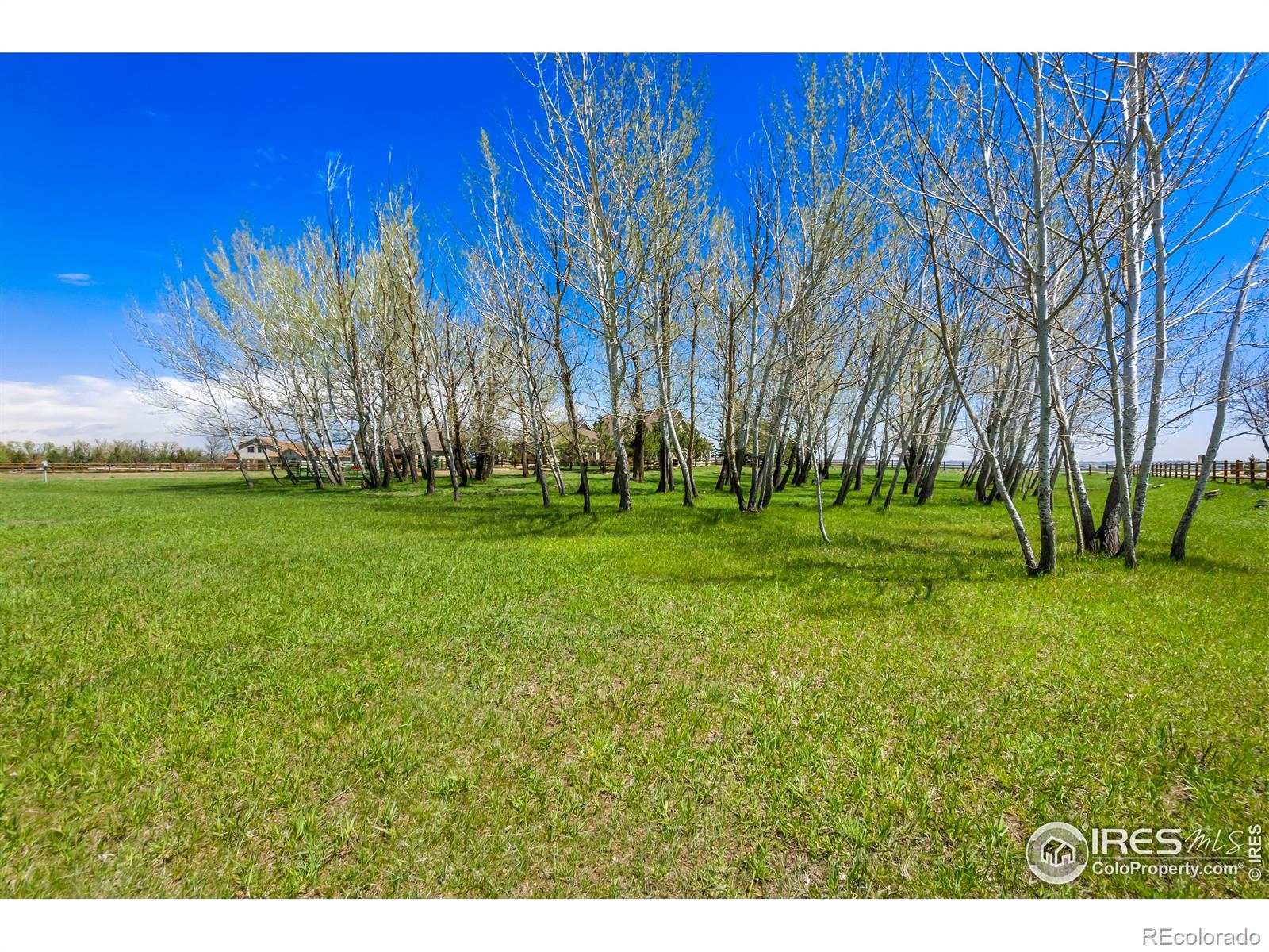 MLS Image #29 for 3325  turnberry road,fort collins, Colorado