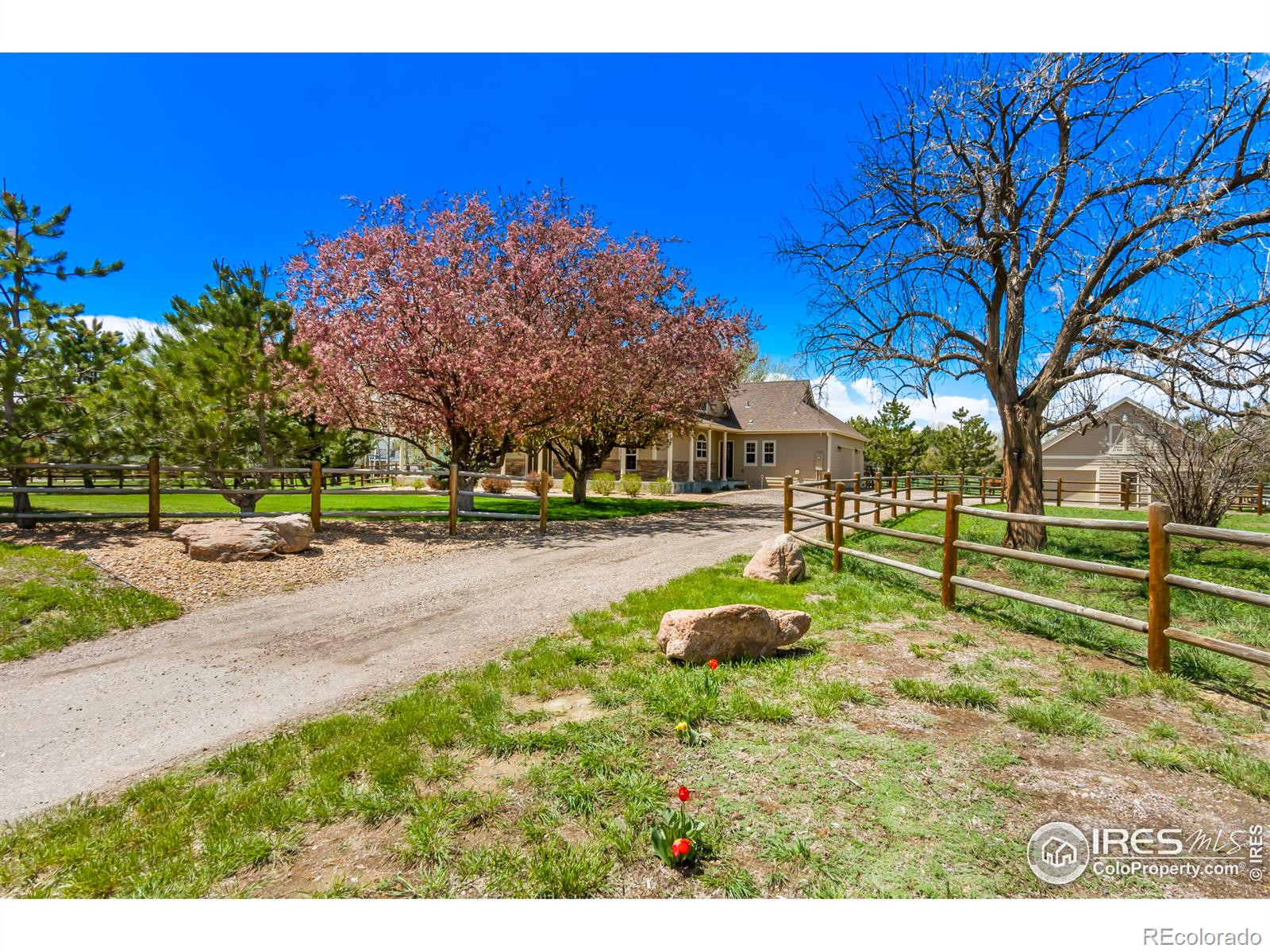 MLS Image #32 for 3325  turnberry road,fort collins, Colorado