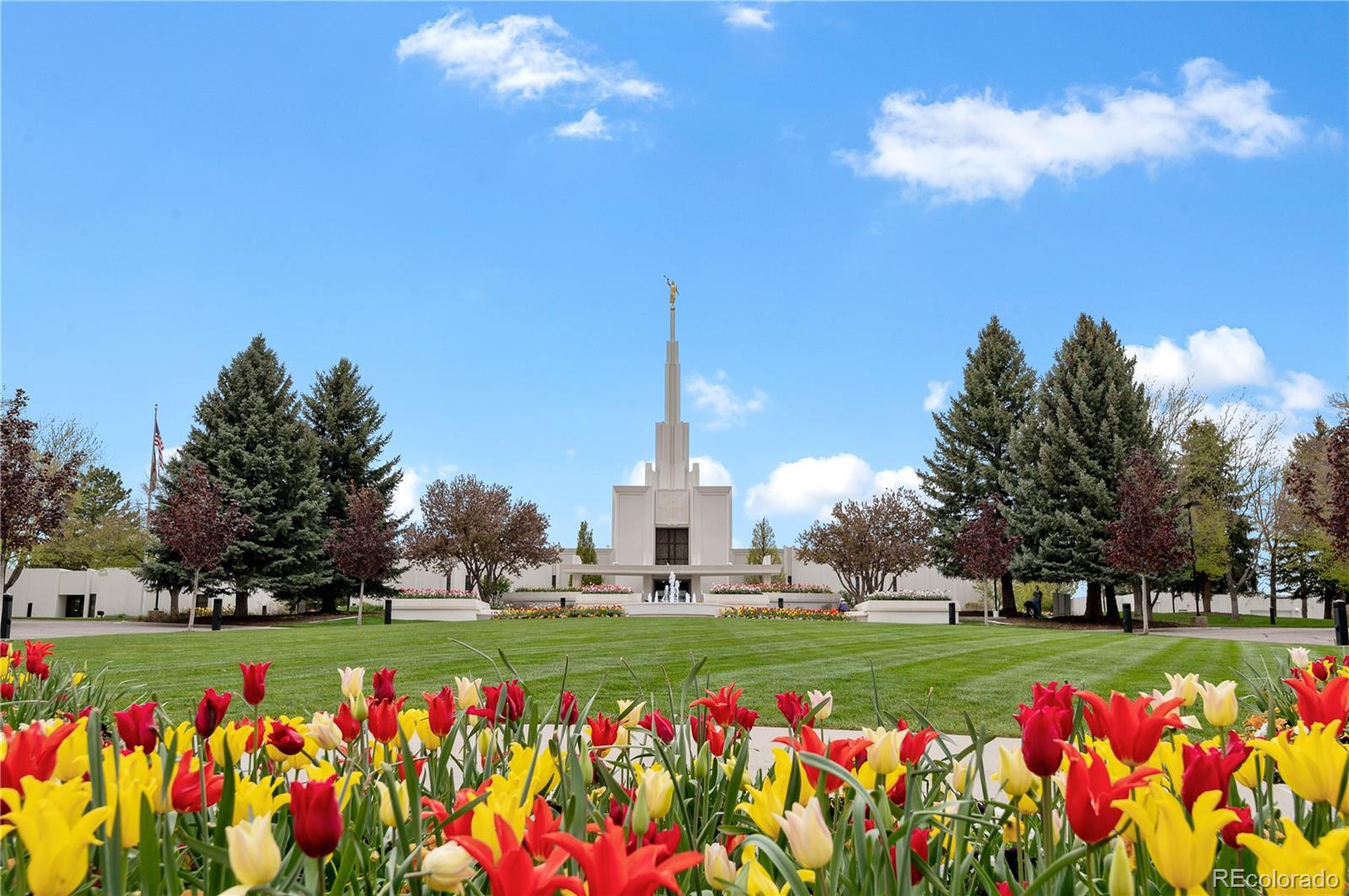 MLS Image #26 for 8224 s high court,centennial, Colorado