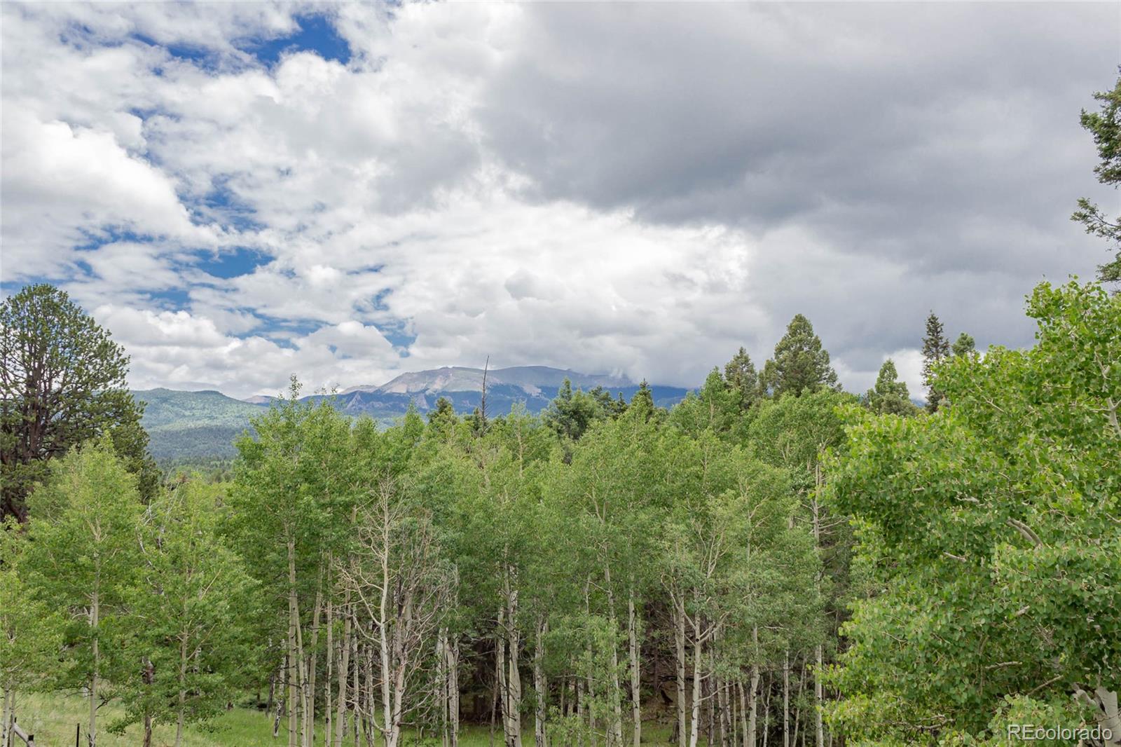 Report Image for 645  High Road,Divide, Colorado