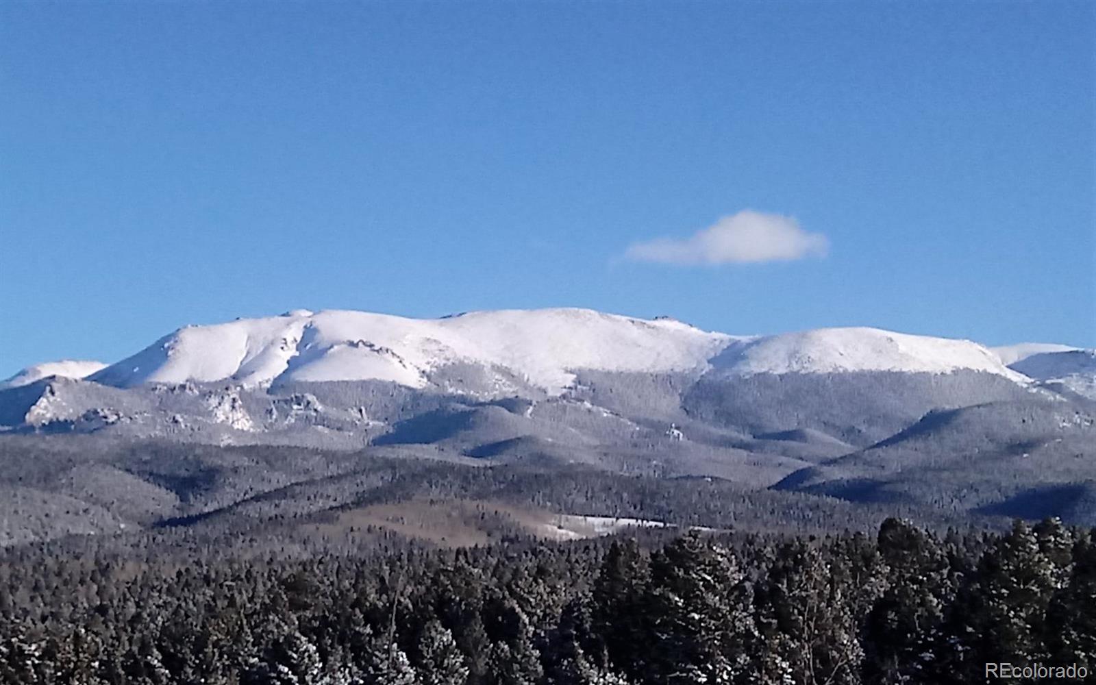 MLS Image #2 for 645  high road,divide, Colorado