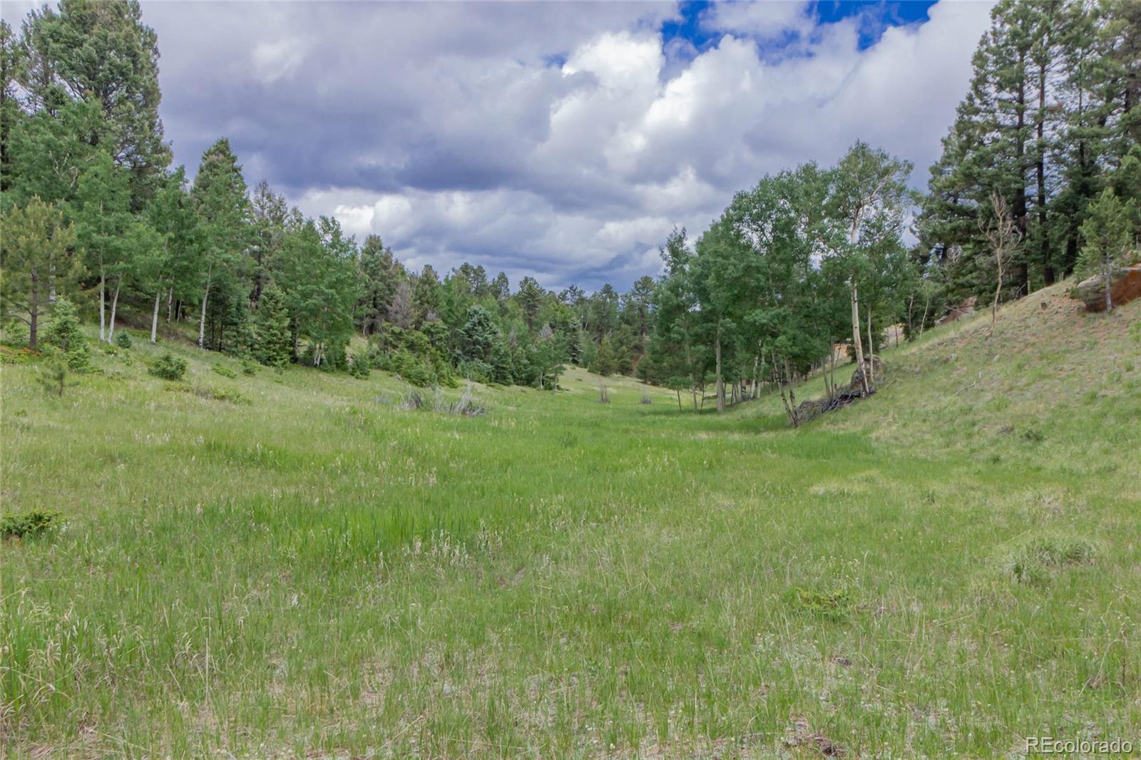 MLS Image #38 for 645  high road,divide, Colorado