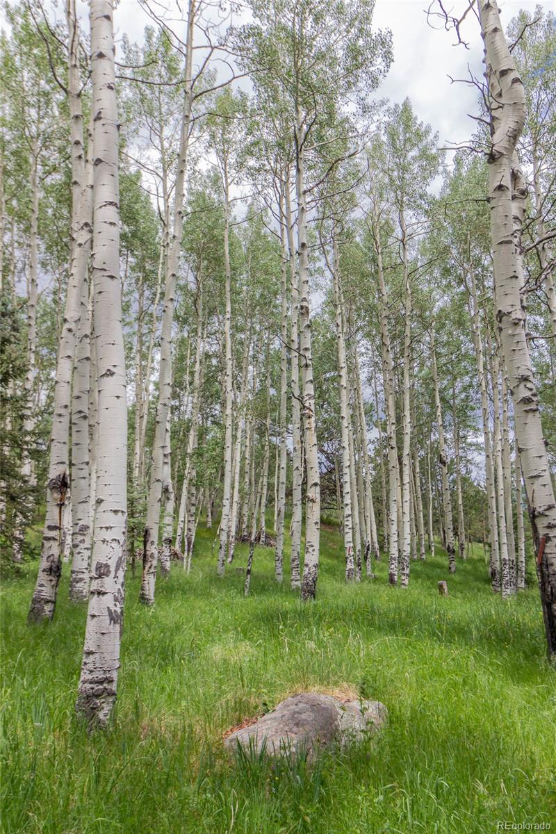 MLS Image #39 for 645  high road,divide, Colorado