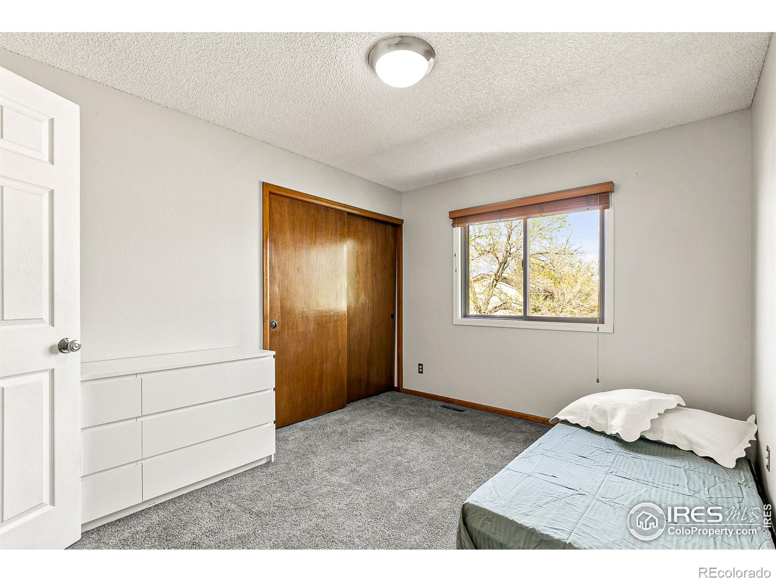 MLS Image #22 for 10746  hobbit lane,westminster, Colorado