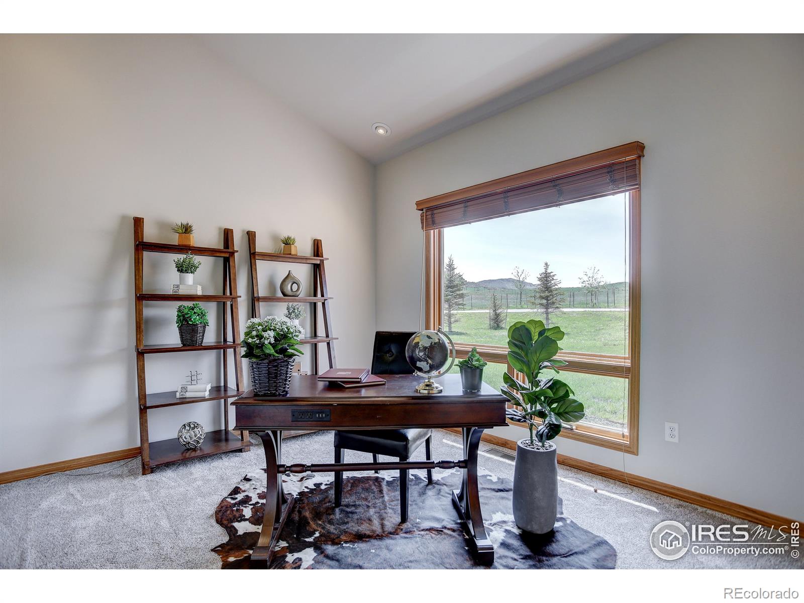 MLS Image #10 for 4629  sedona hills drive,loveland, Colorado