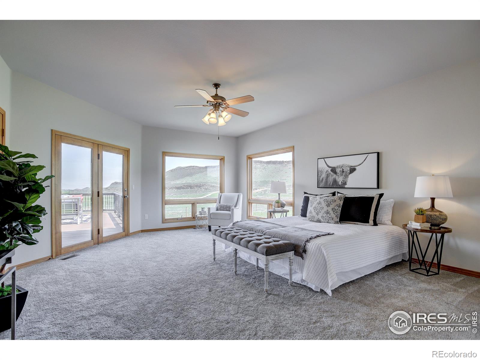 MLS Image #11 for 4629  sedona hills drive,loveland, Colorado