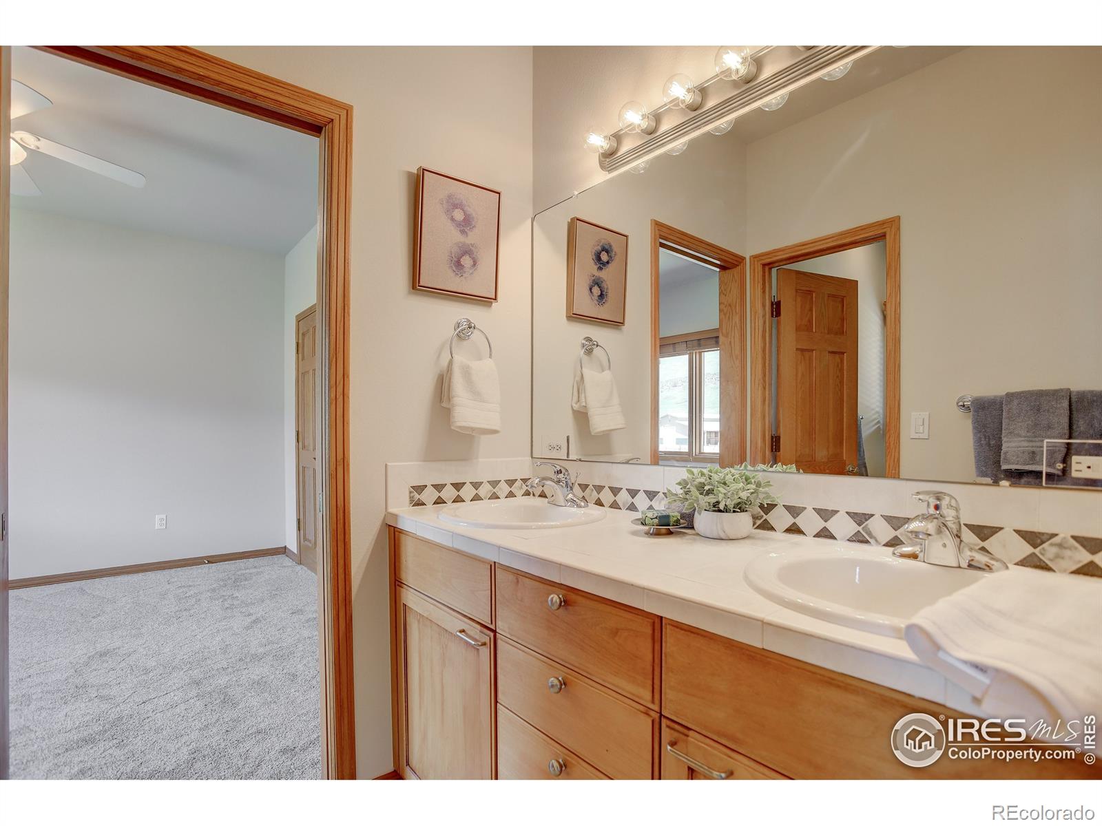 MLS Image #15 for 4629  sedona hills drive,loveland, Colorado