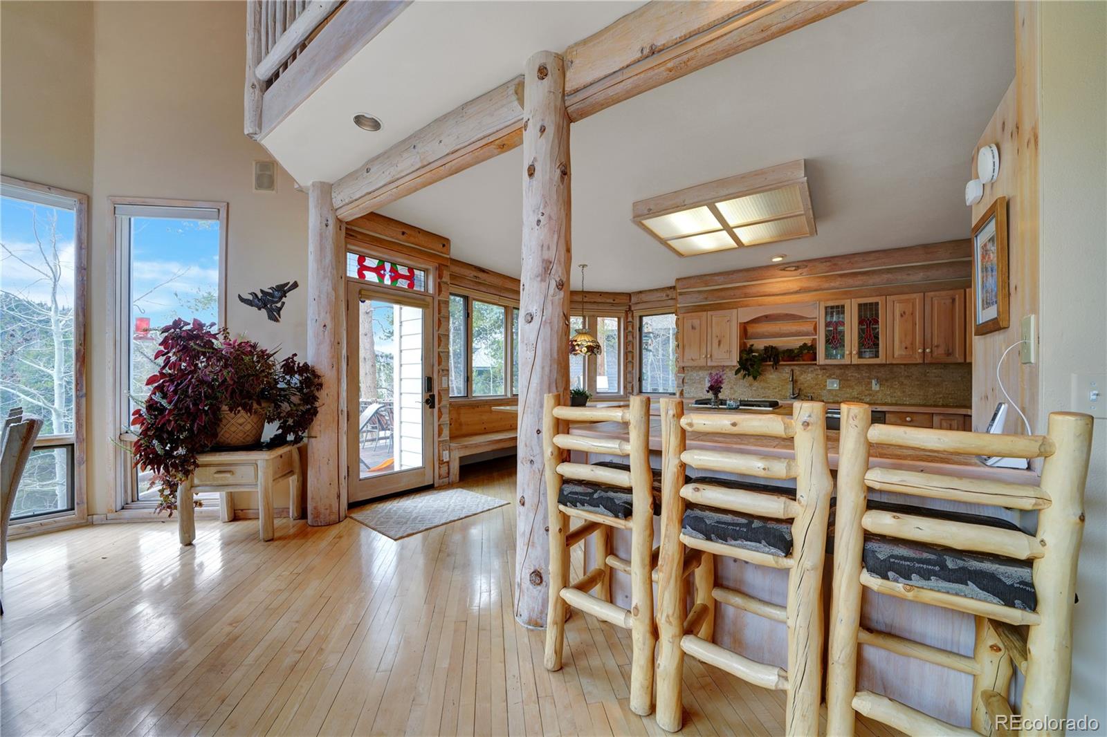 MLS Image #11 for 242  elk crossing lane,keystone, Colorado