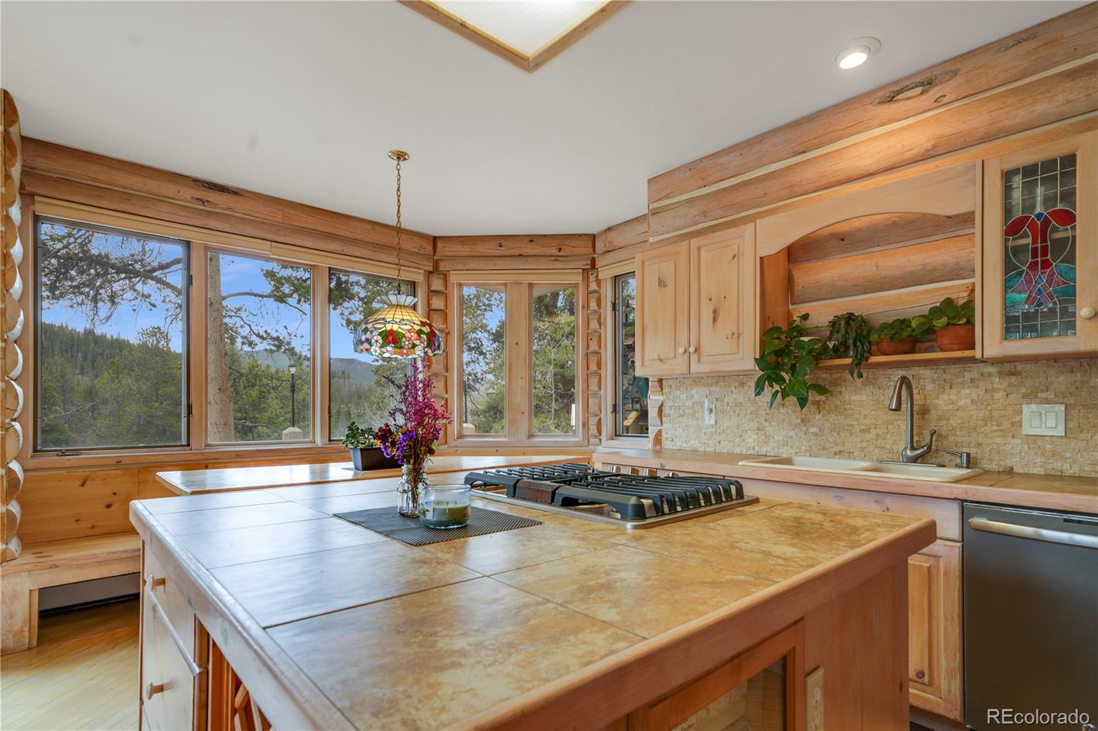 MLS Image #14 for 242  elk crossing lane,keystone, Colorado