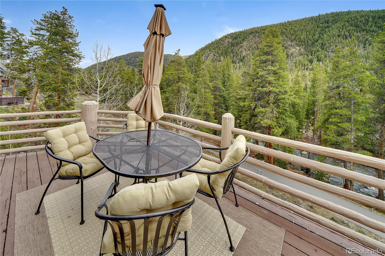 MLS Image #6 for 242  elk crossing lane,keystone, Colorado