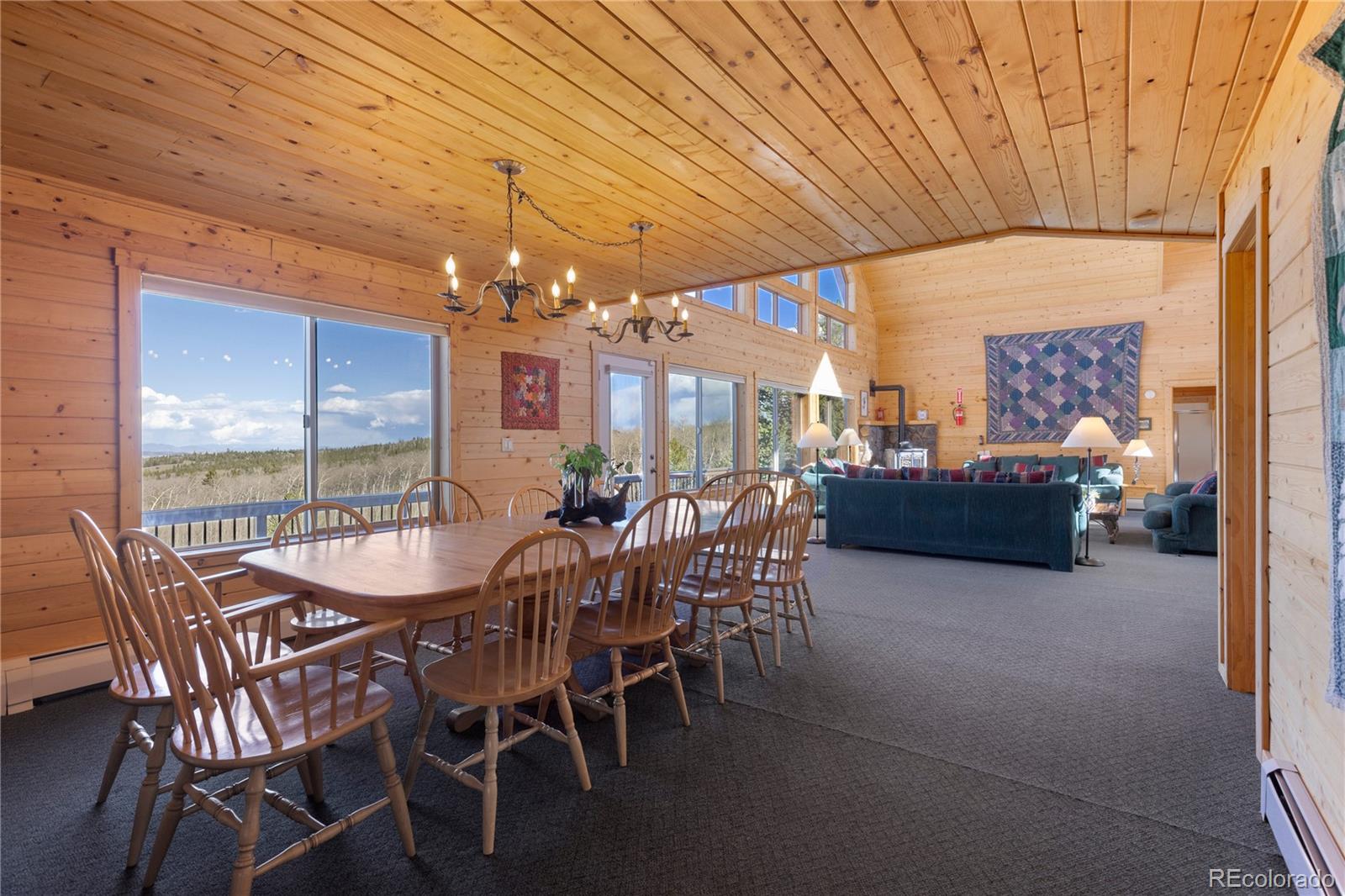 MLS Image #10 for 70  sheep creek trail,fairplay, Colorado