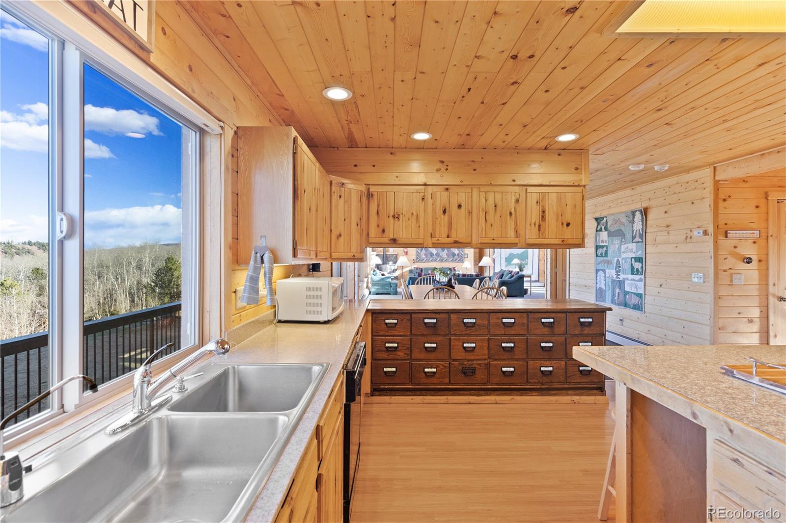 MLS Image #15 for 70  sheep creek trail,fairplay, Colorado