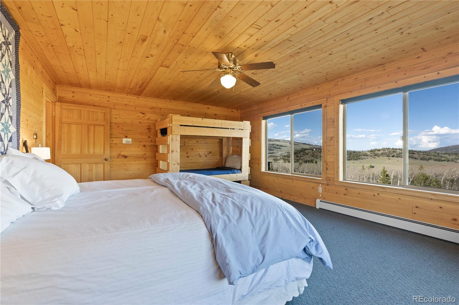 MLS Image #18 for 70  sheep creek trail,fairplay, Colorado