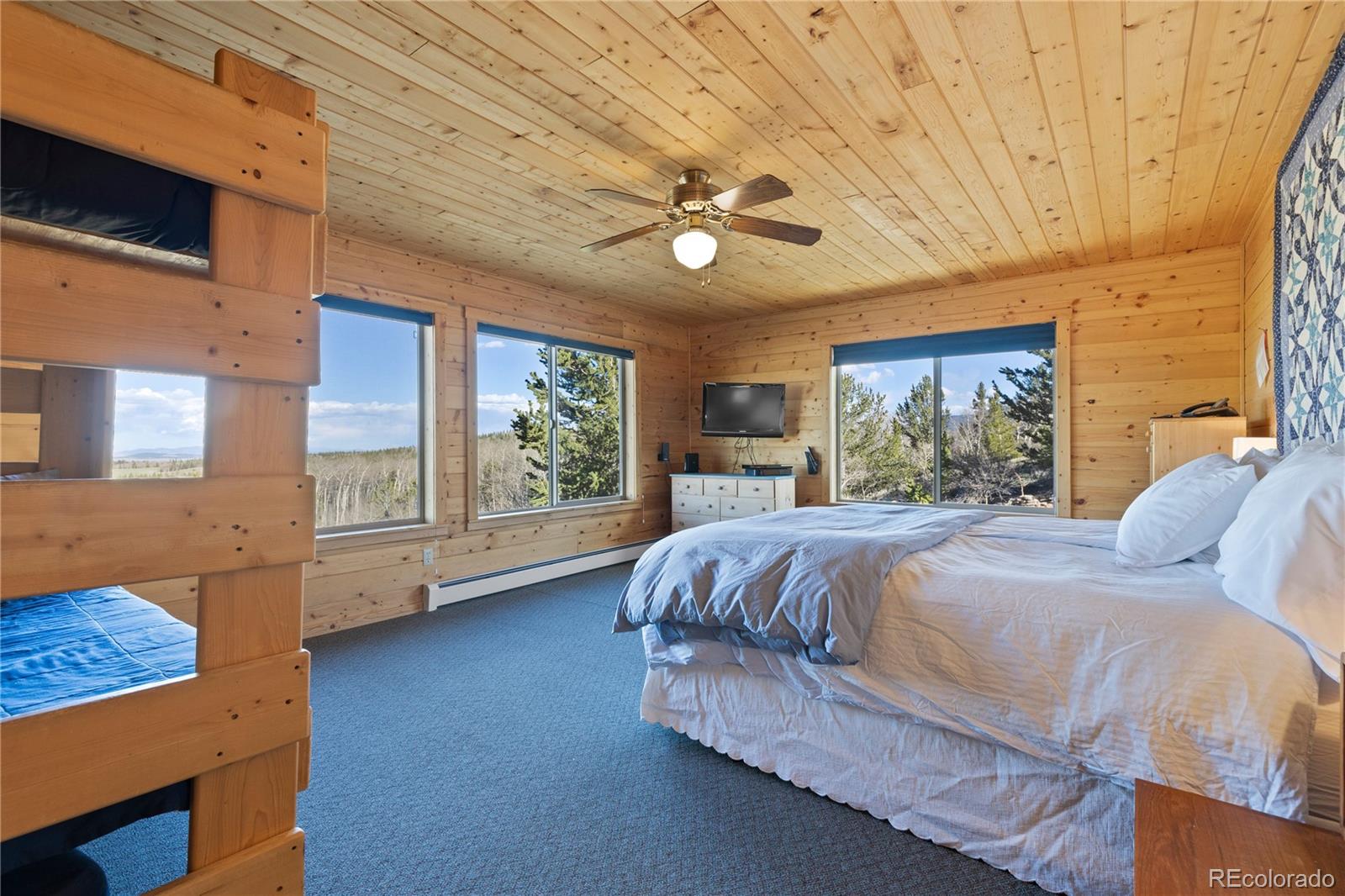 MLS Image #19 for 70  sheep creek trail,fairplay, Colorado