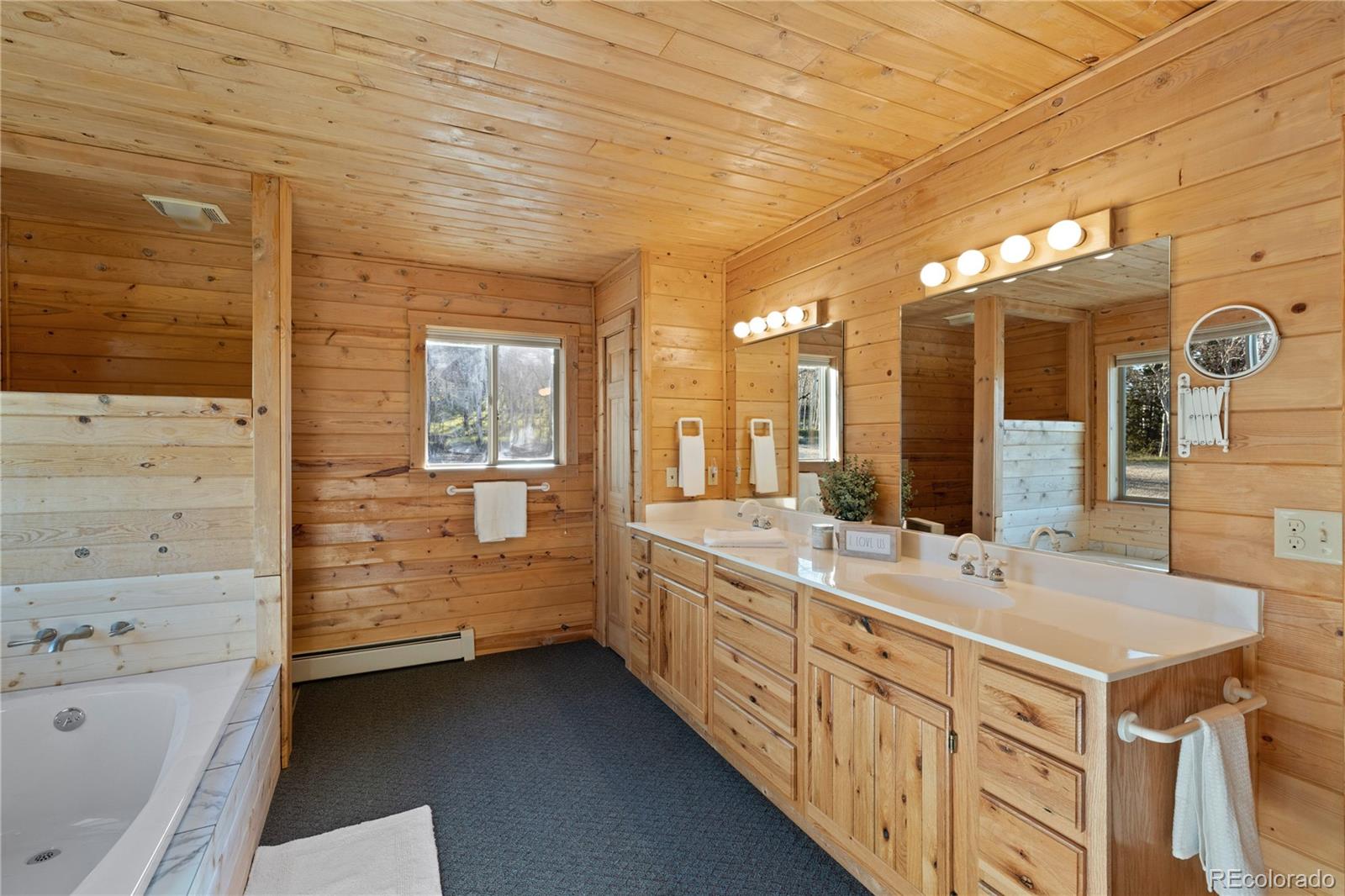 MLS Image #20 for 70  sheep creek trail,fairplay, Colorado