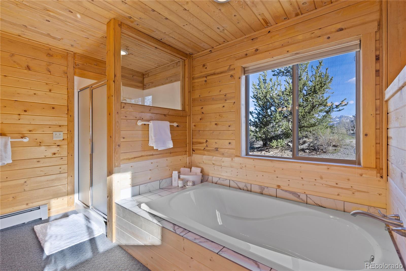 MLS Image #21 for 70  sheep creek trail,fairplay, Colorado
