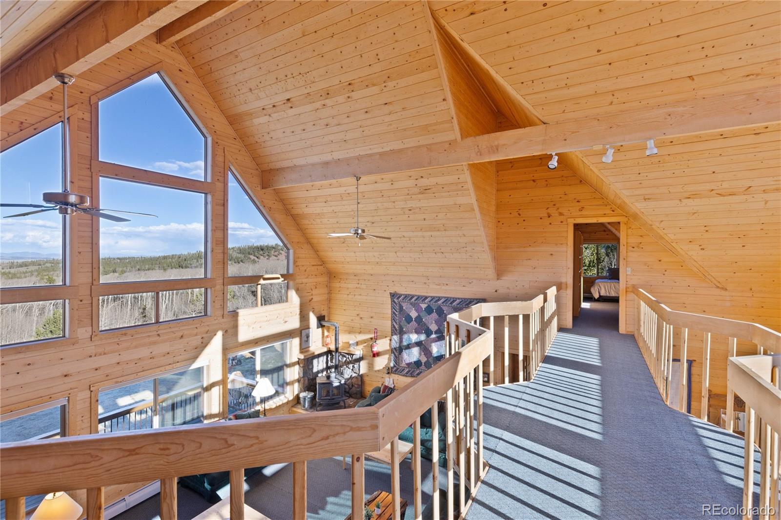 MLS Image #22 for 70  sheep creek trail,fairplay, Colorado