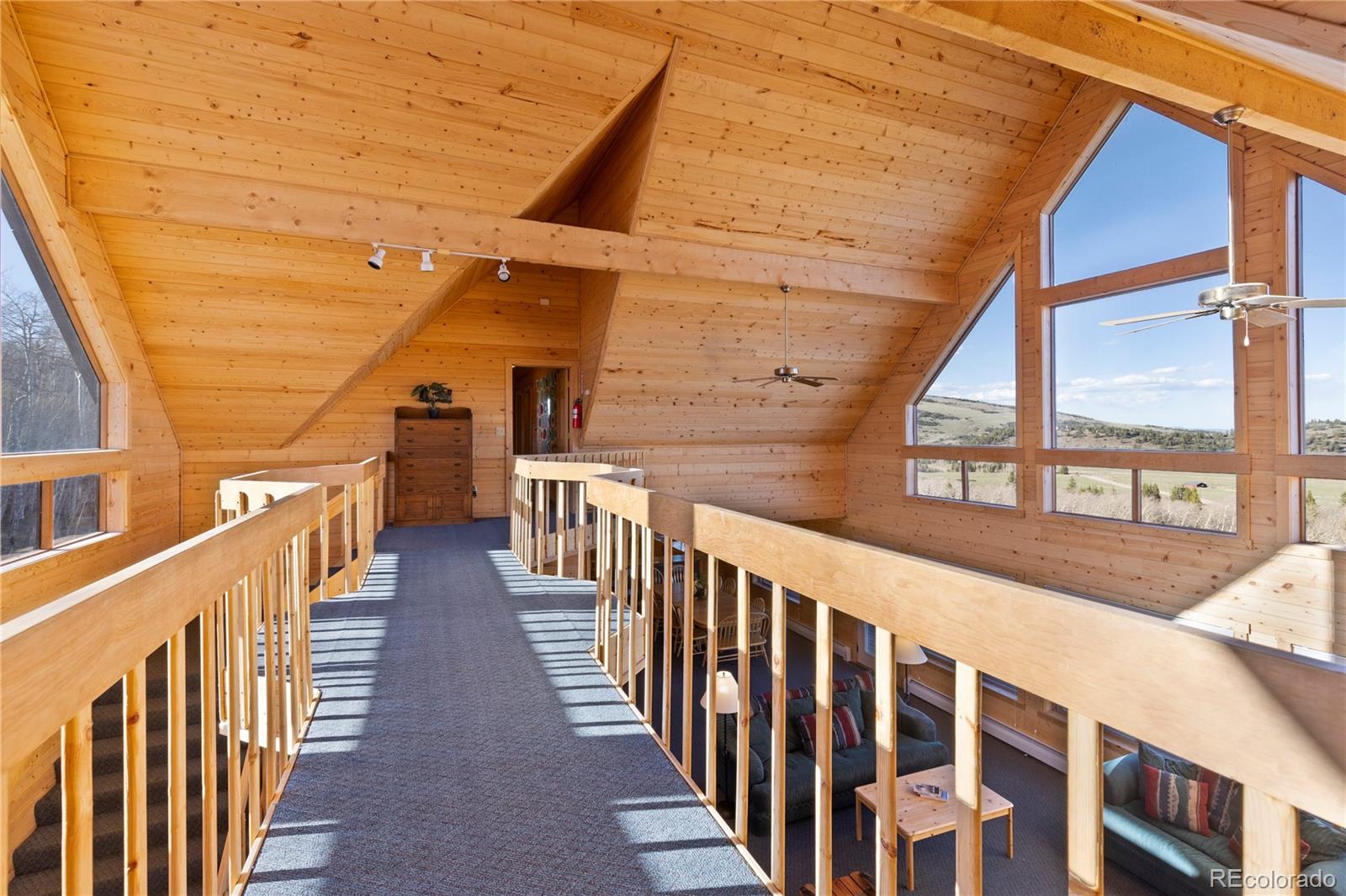 MLS Image #25 for 70  sheep creek trail,fairplay, Colorado
