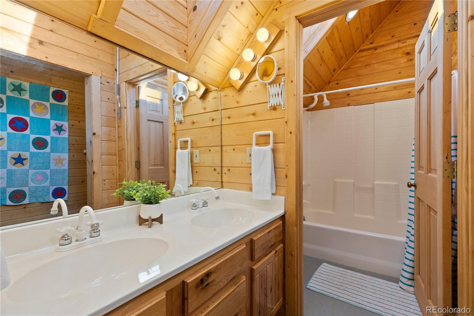 MLS Image #27 for 70  sheep creek trail,fairplay, Colorado