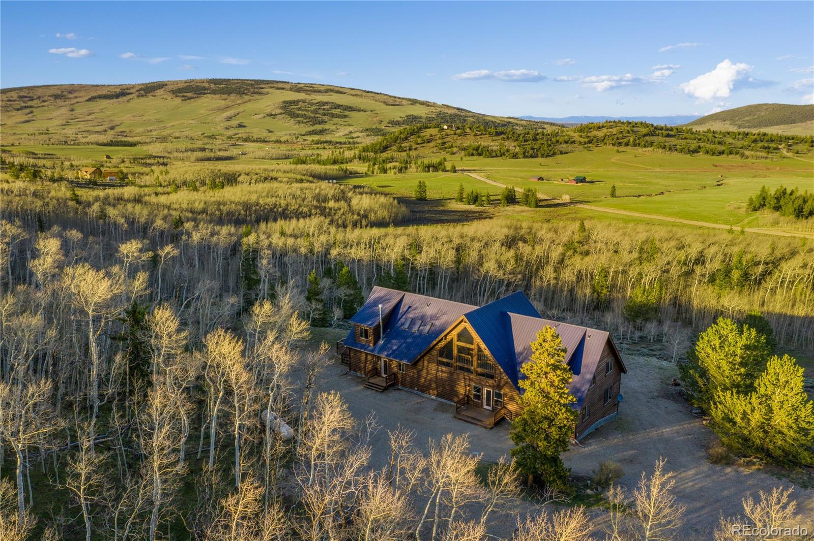 MLS Image #3 for 70  sheep creek trail,fairplay, Colorado