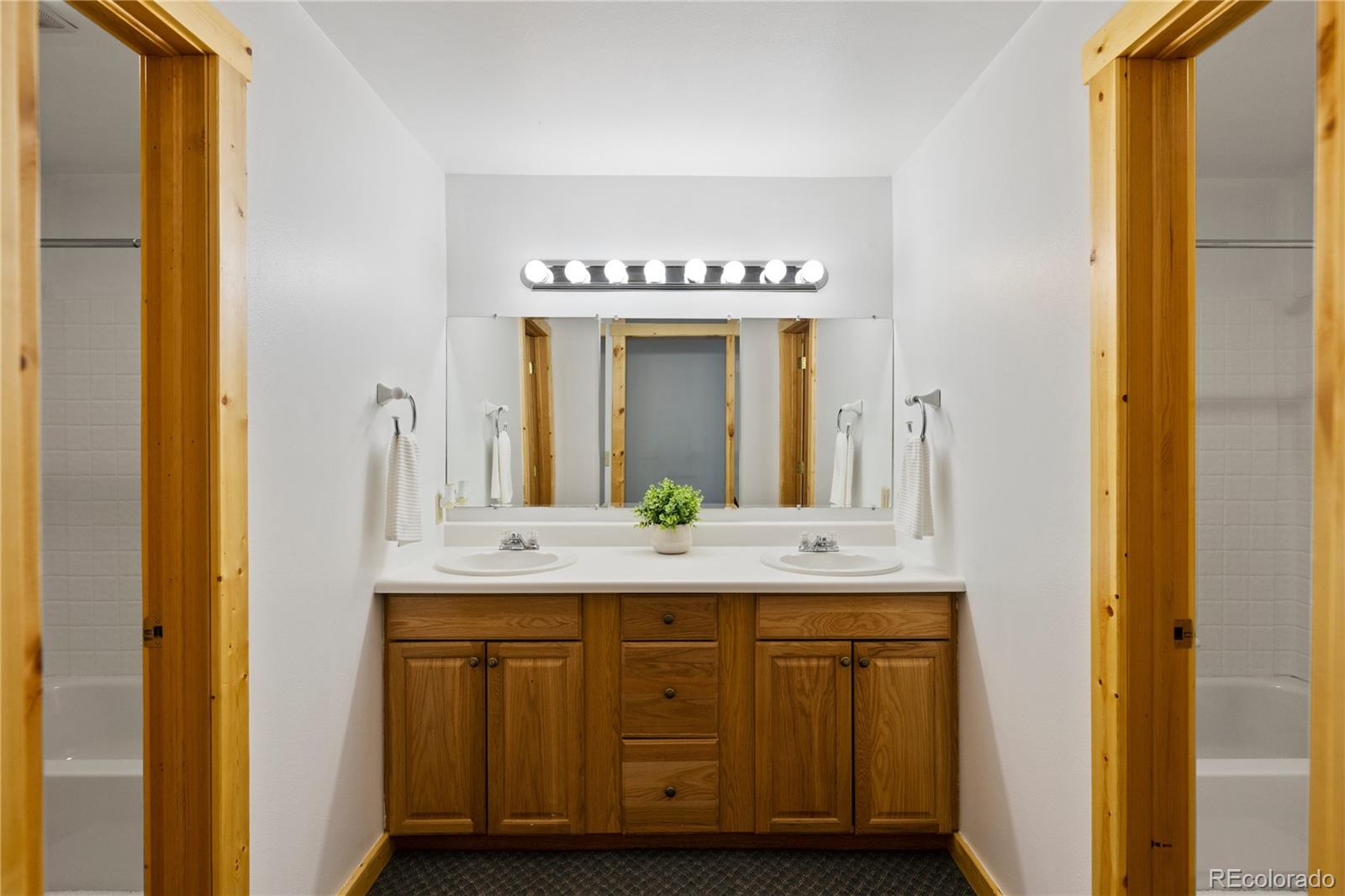 MLS Image #33 for 70  sheep creek trail,fairplay, Colorado