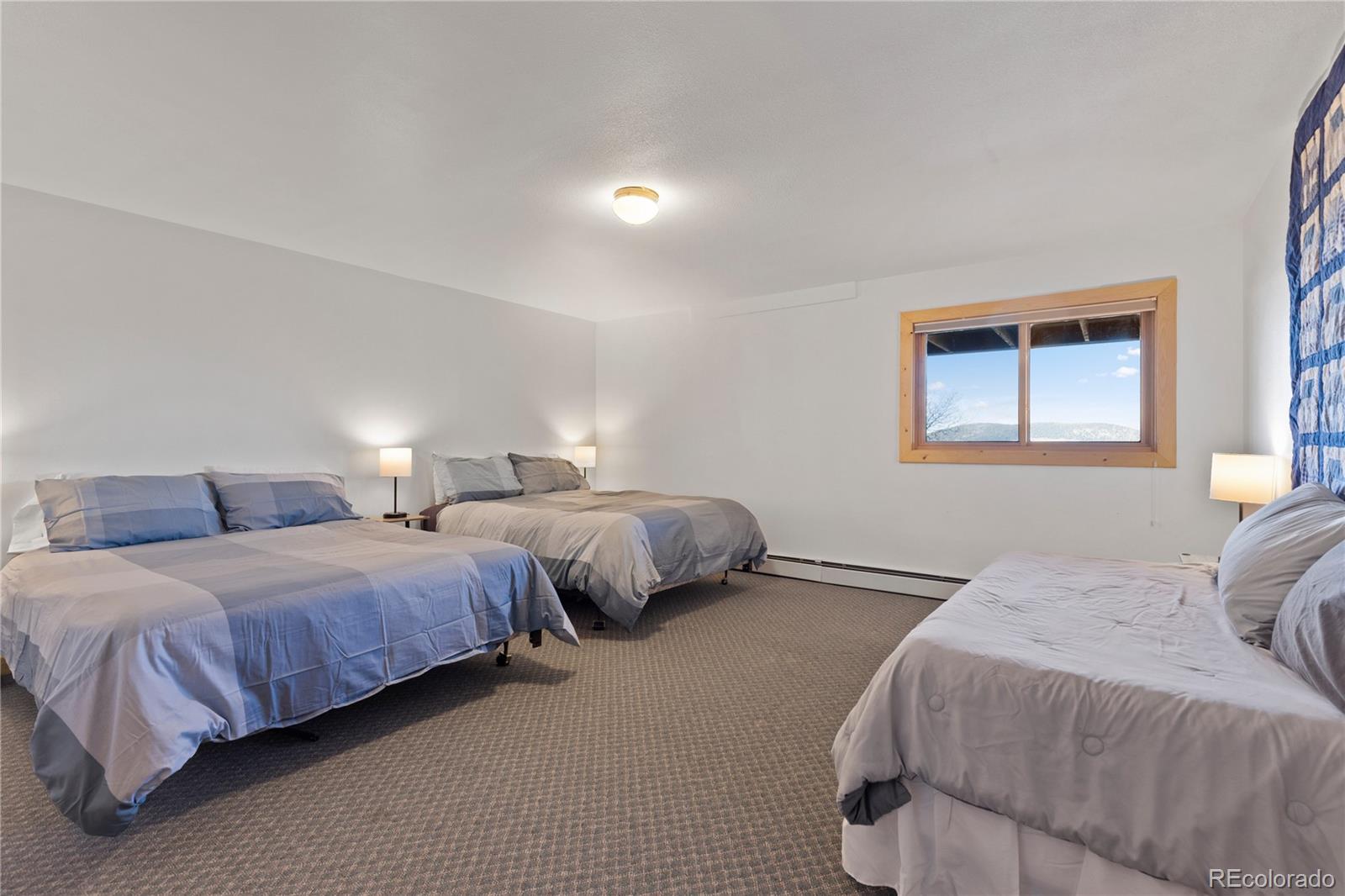 MLS Image #35 for 70  sheep creek trail,fairplay, Colorado