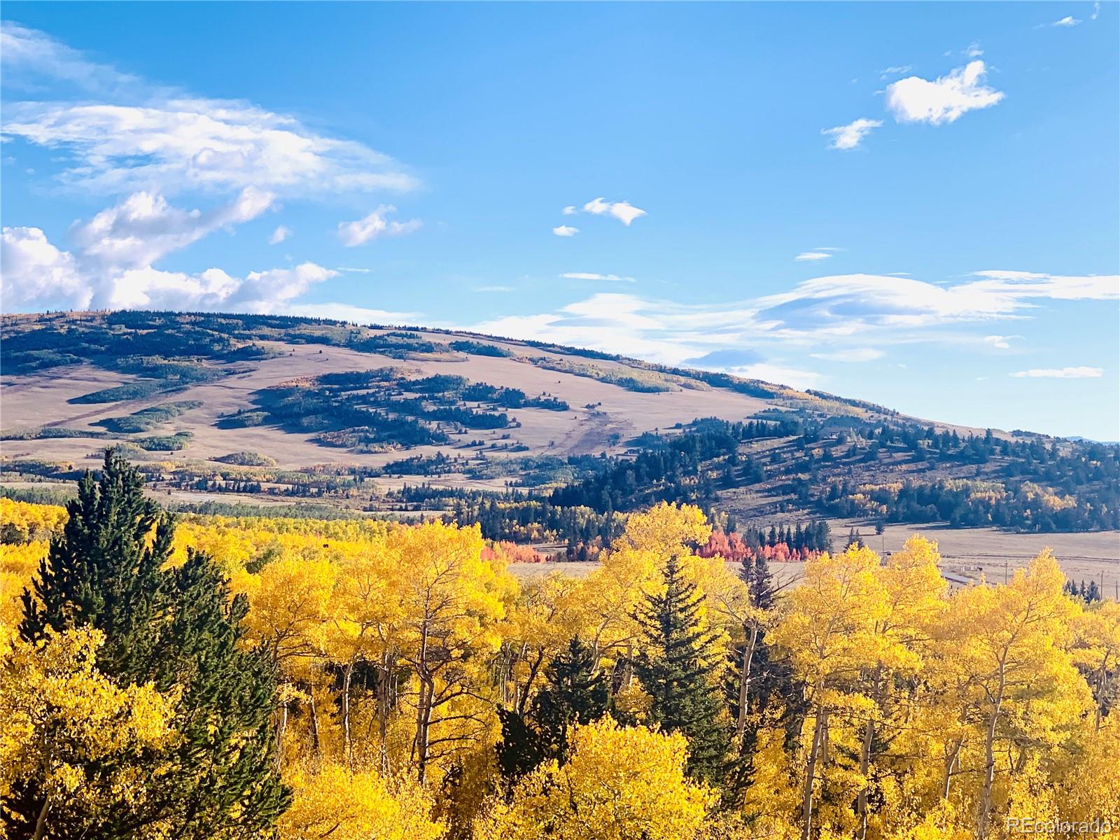 MLS Image #37 for 70  sheep creek trail,fairplay, Colorado