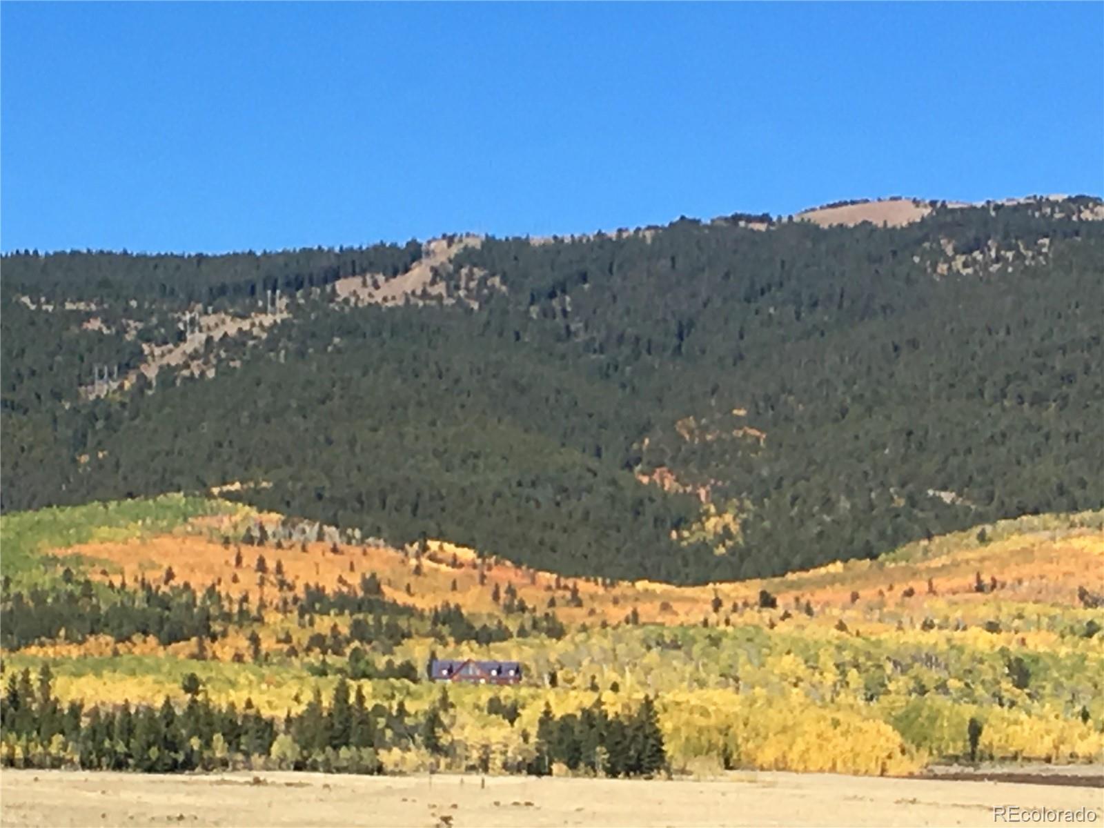 MLS Image #38 for 70  sheep creek trail,fairplay, Colorado