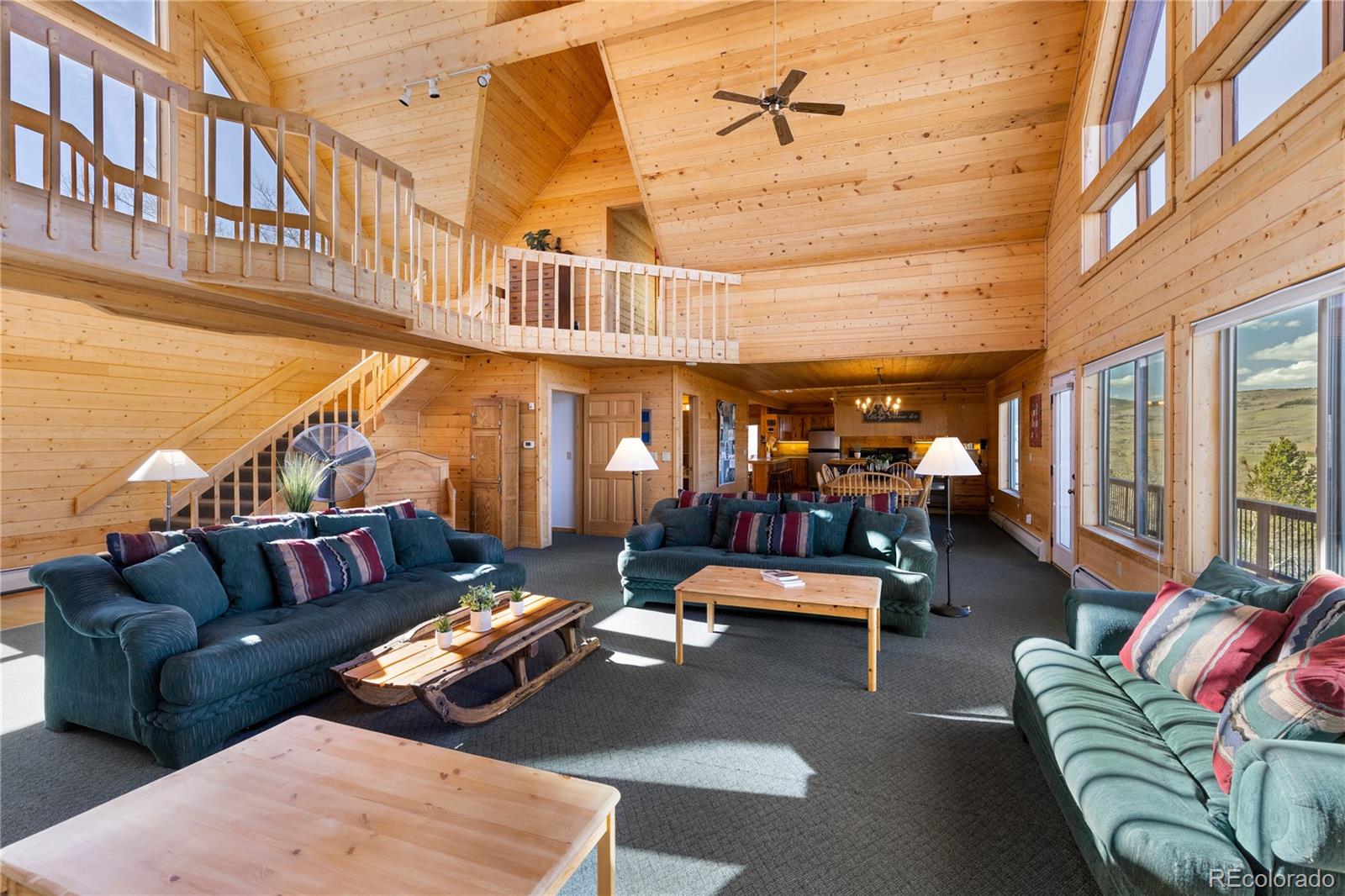 MLS Image #6 for 70  sheep creek trail,fairplay, Colorado