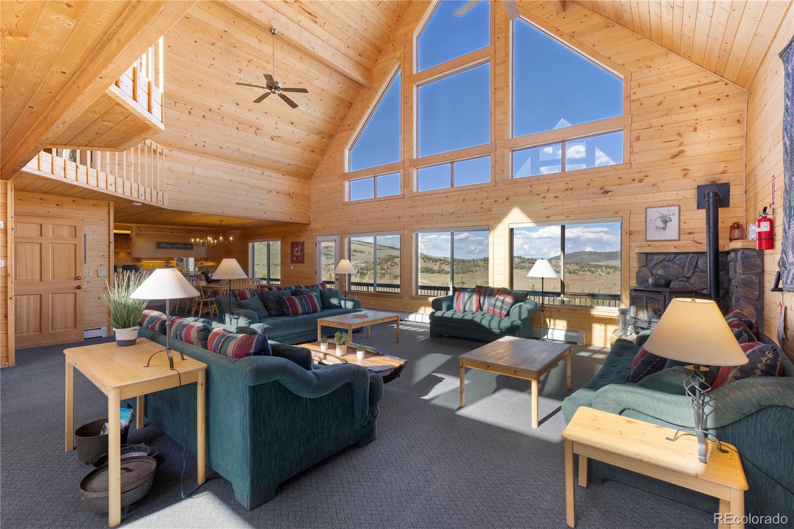 MLS Image #7 for 70  sheep creek trail,fairplay, Colorado