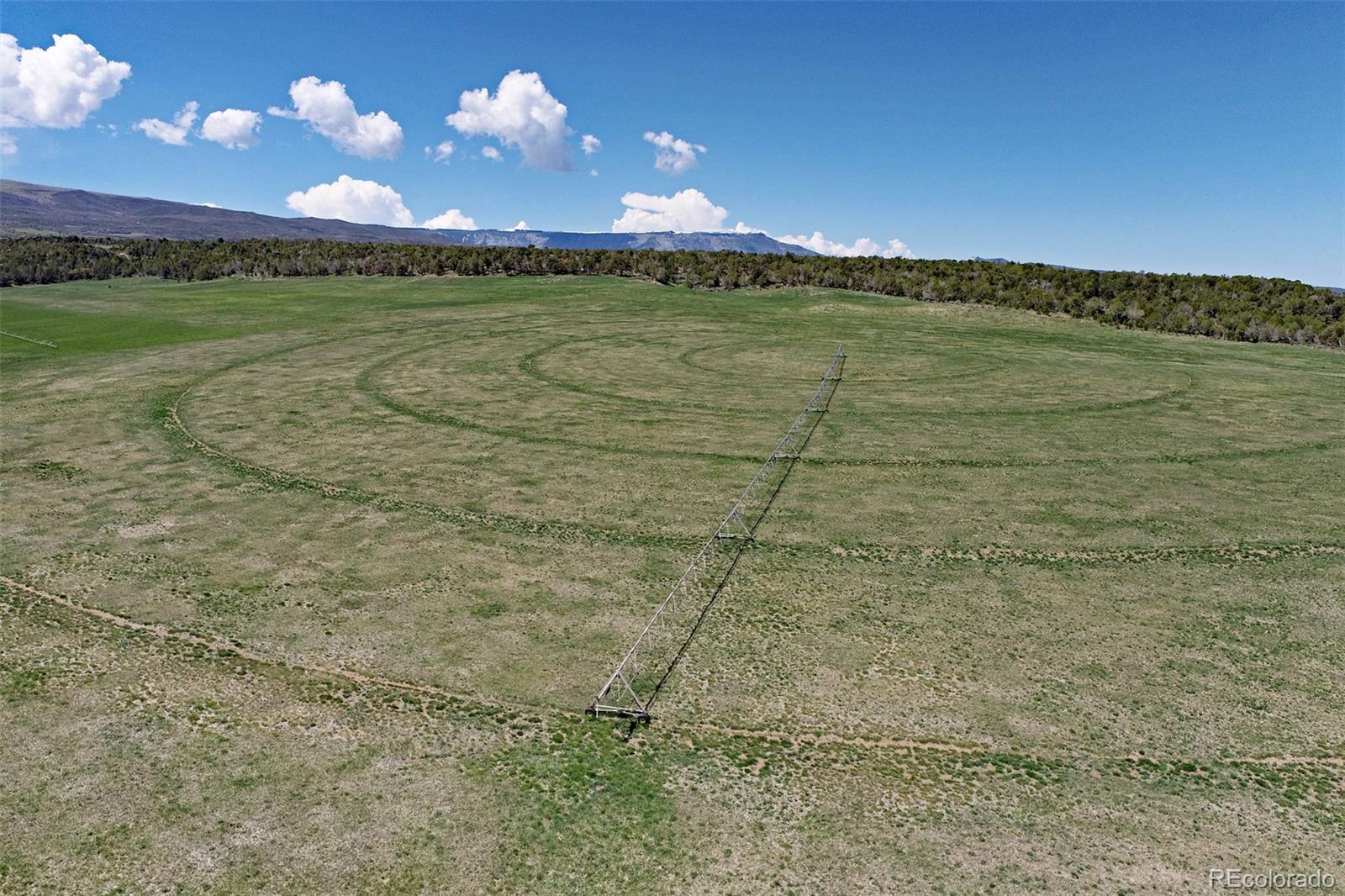 MLS Image #32 for 11073  54 7/10 road,molina, Colorado