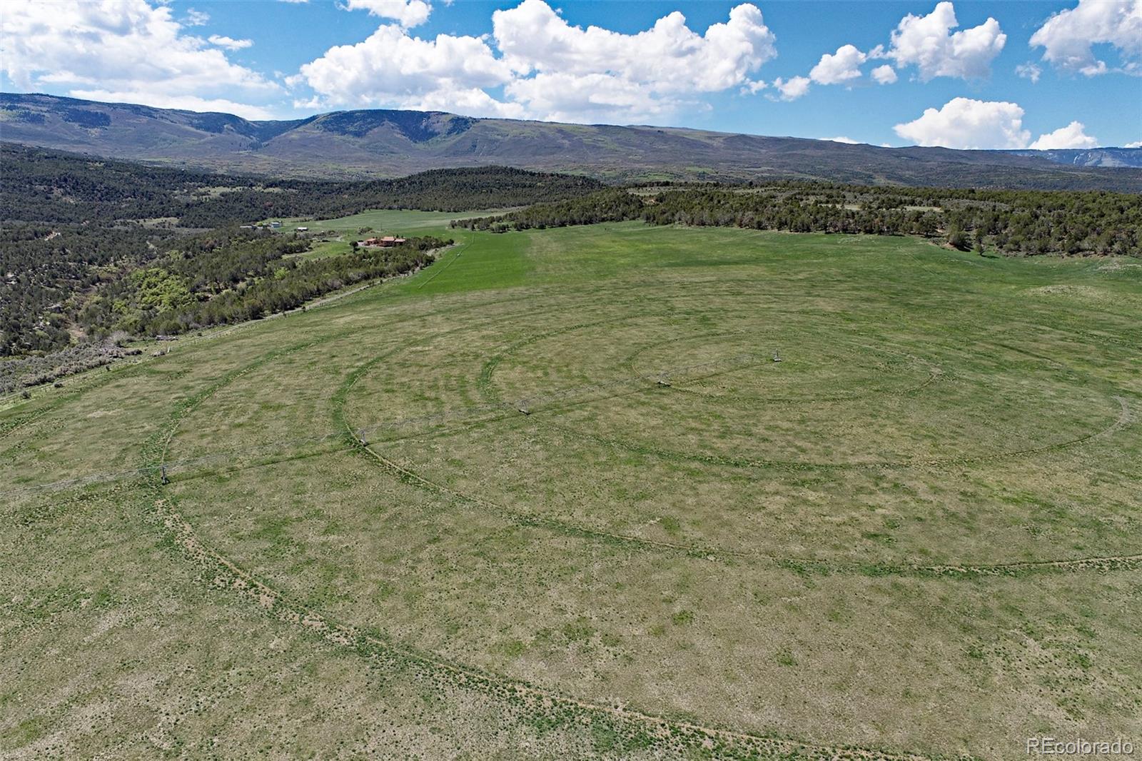 MLS Image #36 for 11073  54 7/10 road,molina, Colorado