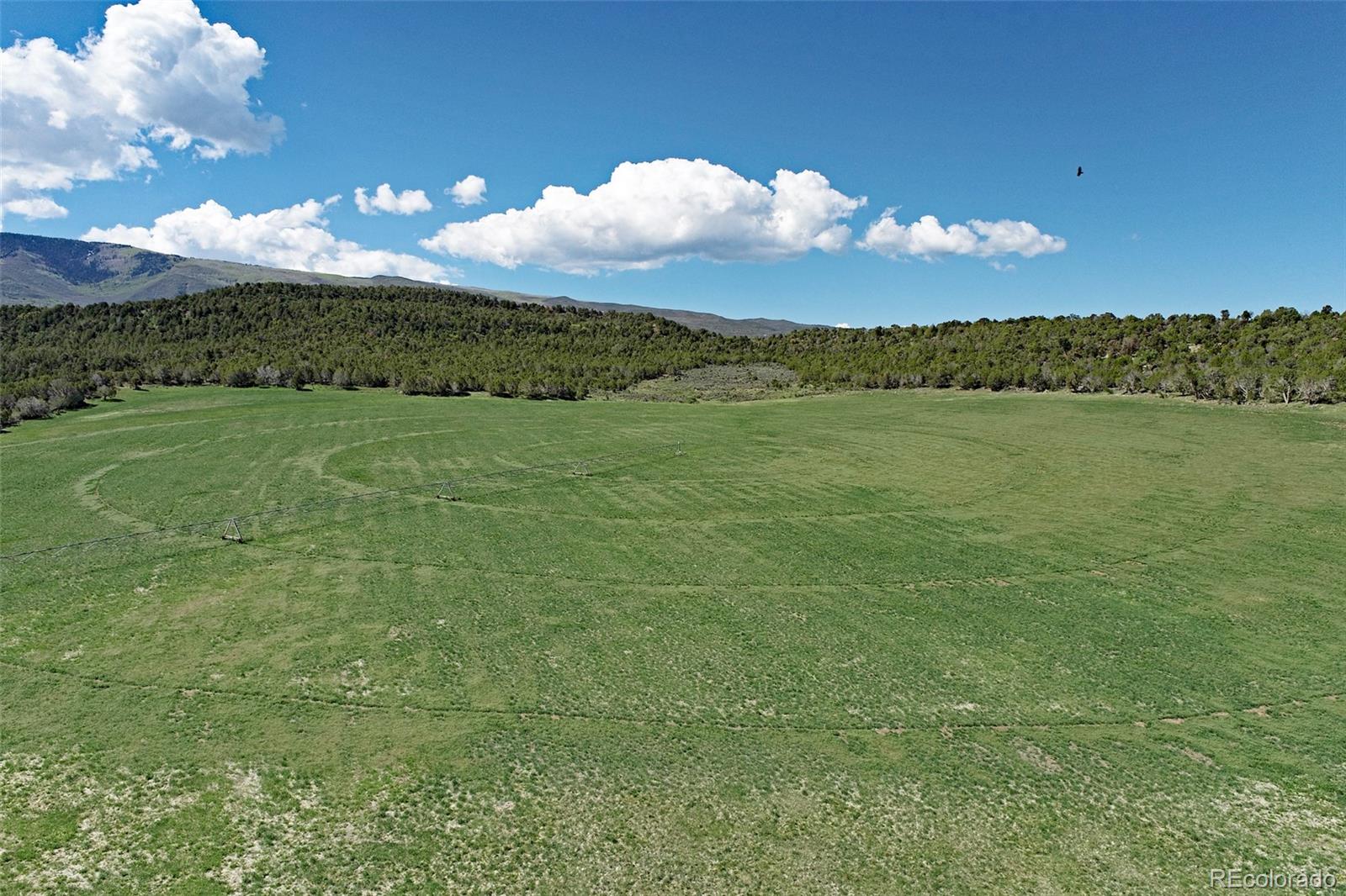 MLS Image #37 for 11073  54 7/10 road,molina, Colorado