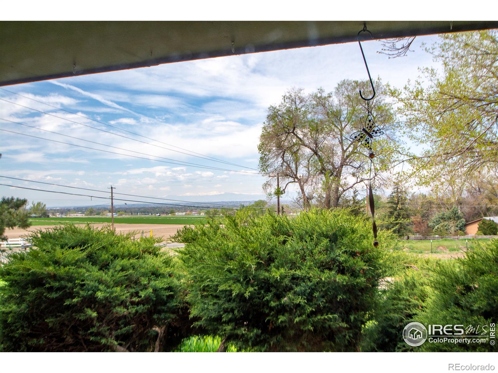 MLS Image #25 for 14215  county road 2 ,brighton, Colorado