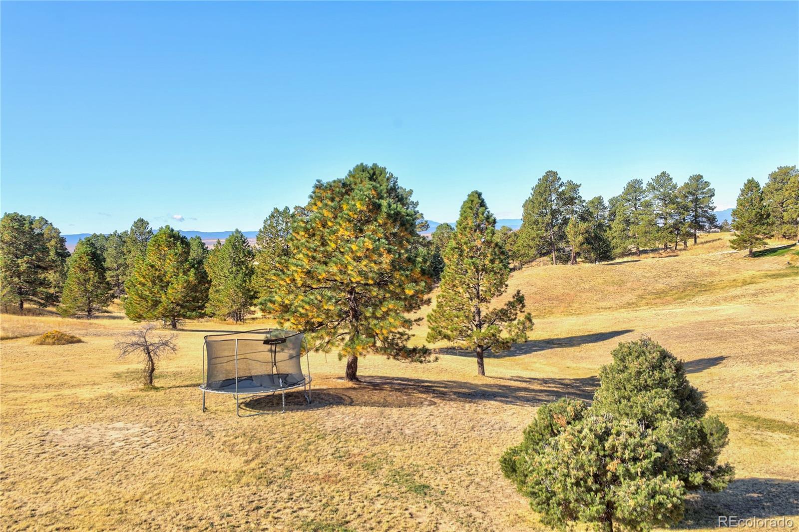 MLS Image #37 for 10212  cherrywood drive,parker, Colorado