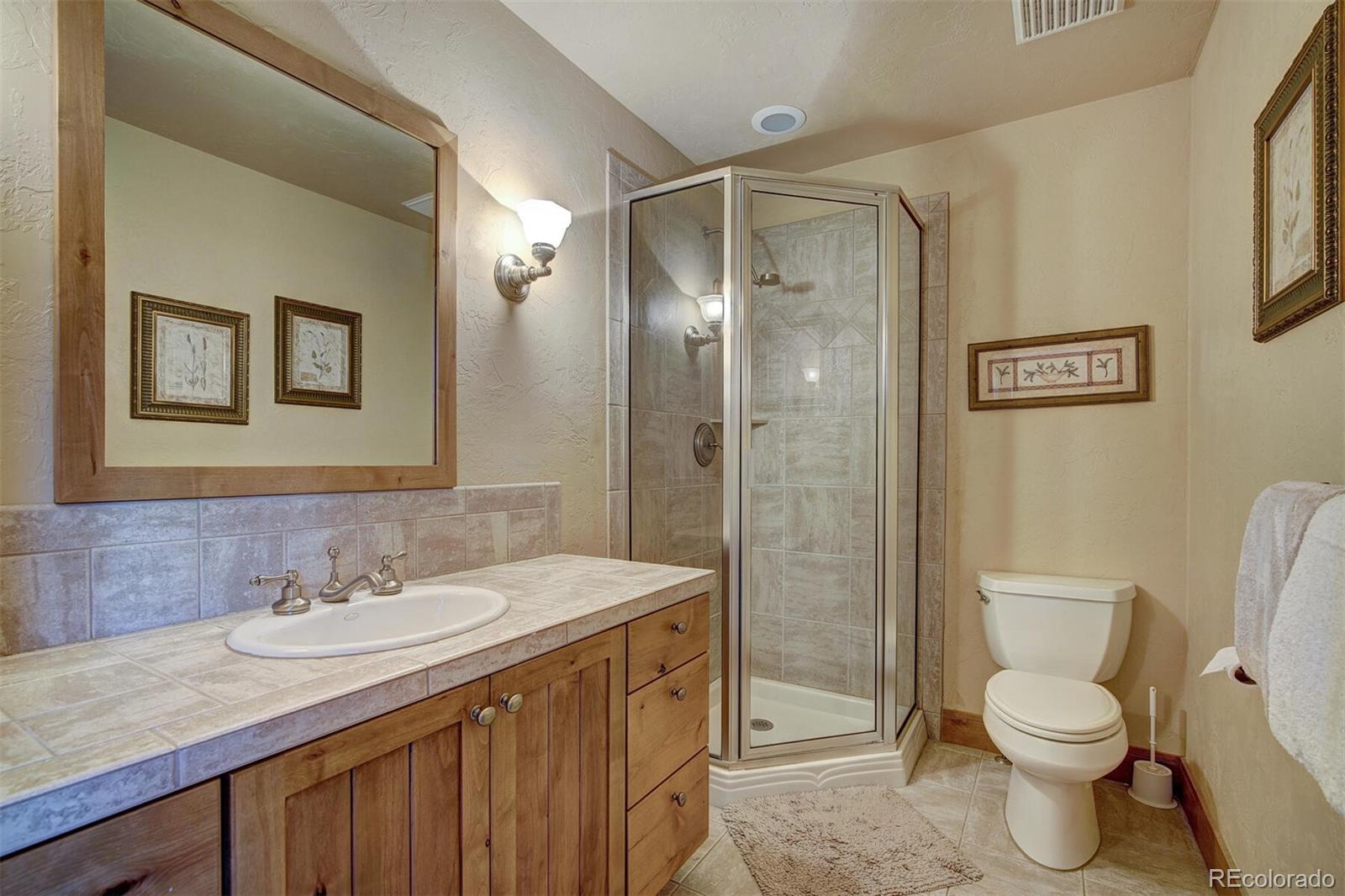 MLS Image #21 for 1730  red hawk road,silverthorne, Colorado