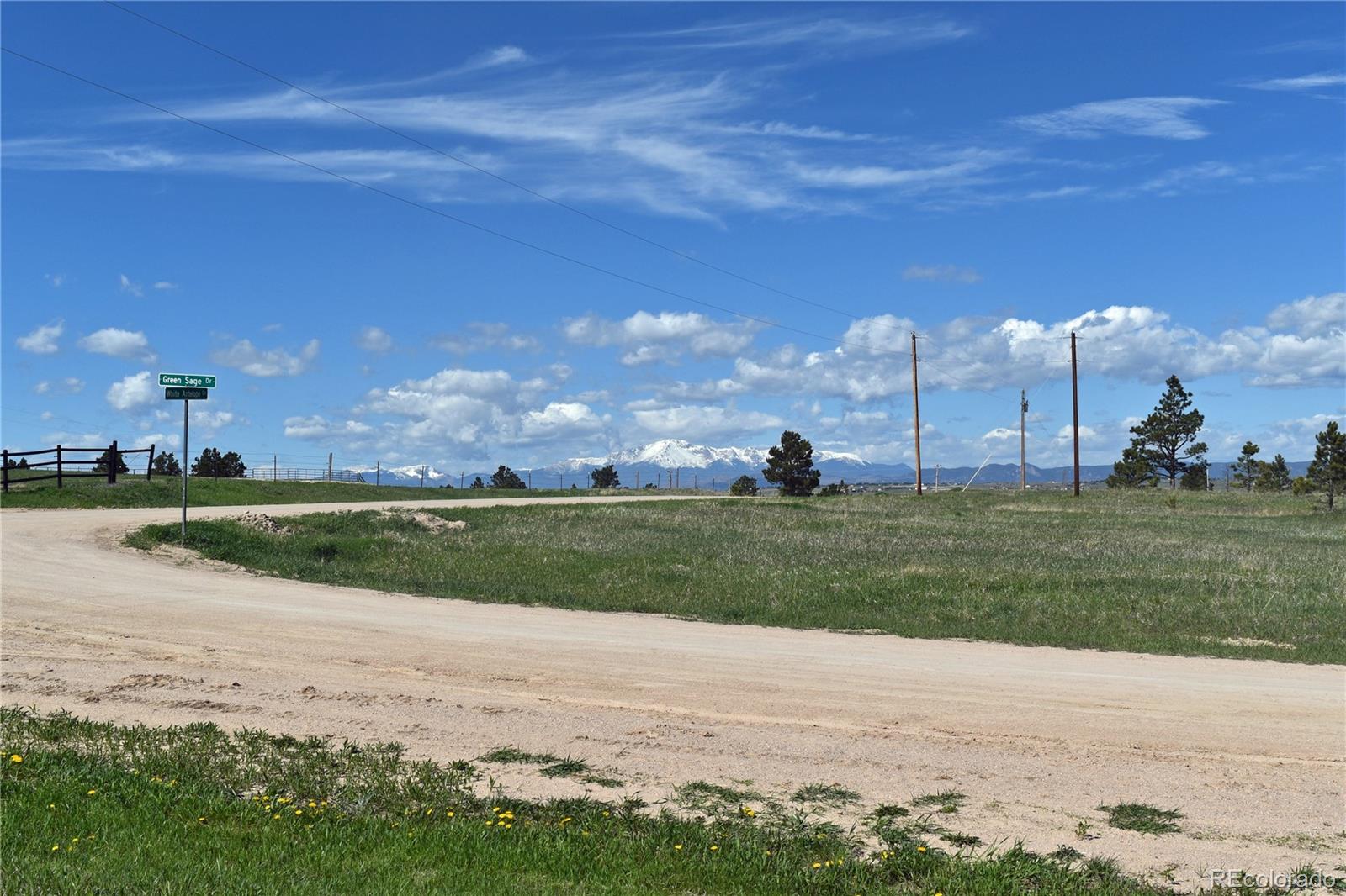 MLS Image #2 for 19325  green sage drive,colorado springs, Colorado