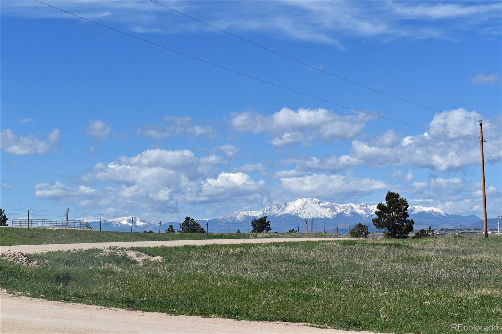 MLS Image #5 for 19325  green sage drive,colorado springs, Colorado