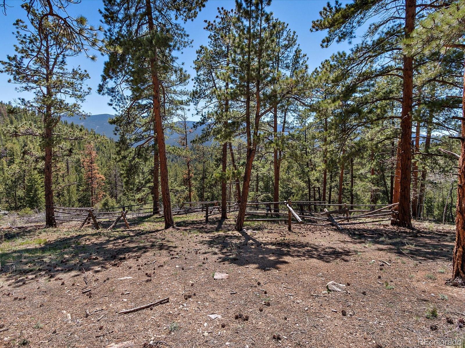 MLS Image #13 for 1448 s ridge road,bailey, Colorado