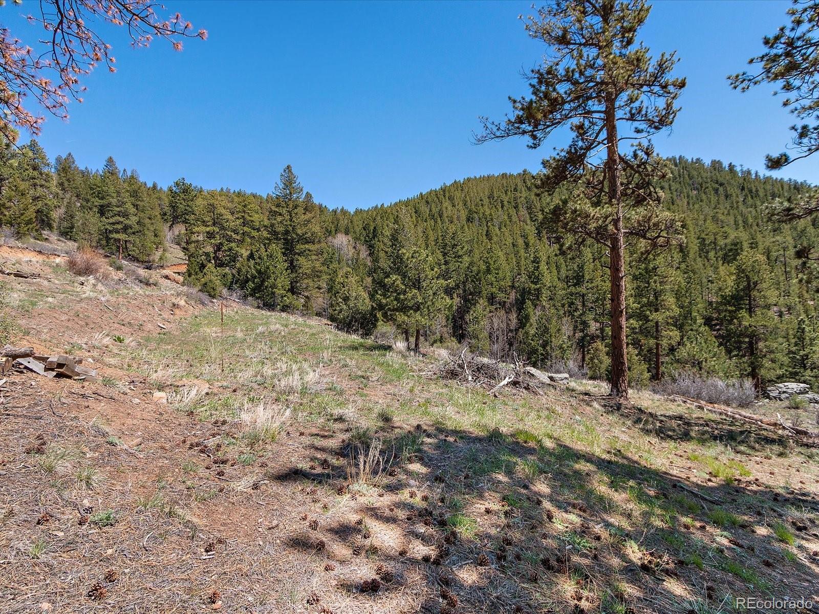 MLS Image #14 for 1448 s ridge road,bailey, Colorado