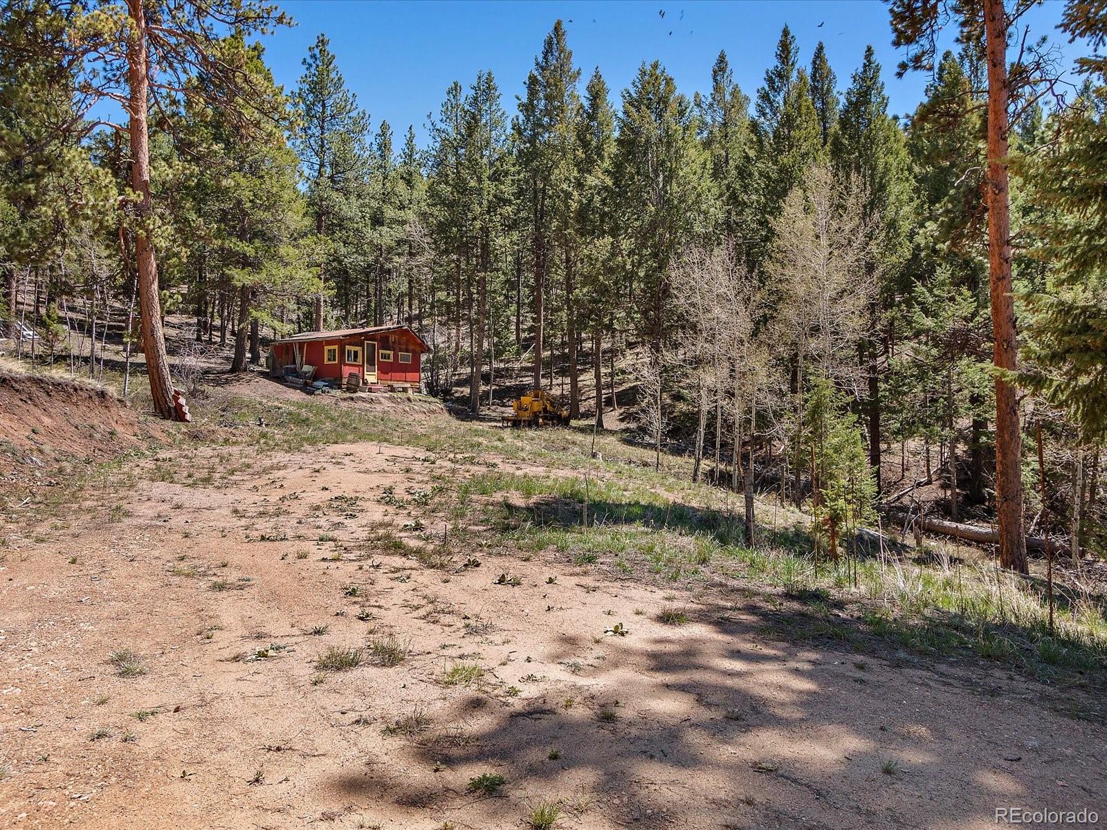 MLS Image #15 for 1448 s ridge road,bailey, Colorado