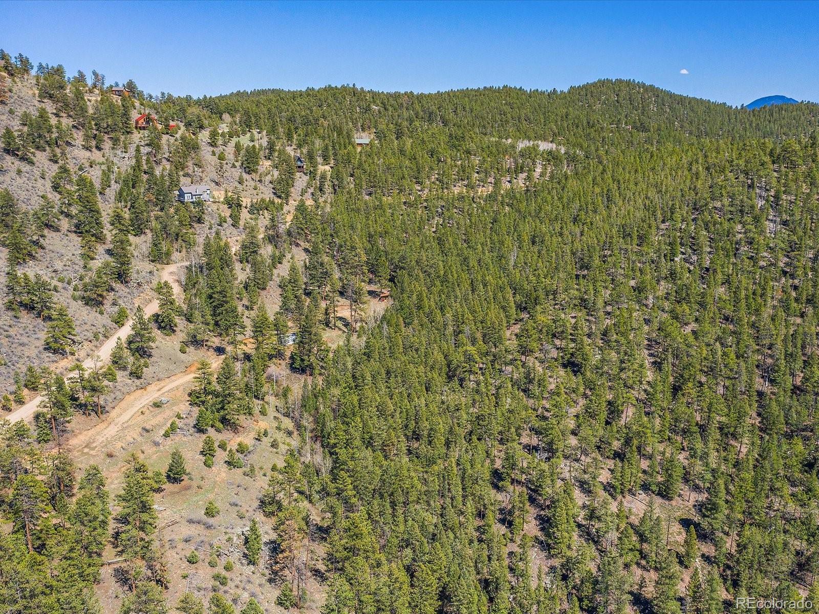 MLS Image #3 for 1448 s ridge road,bailey, Colorado