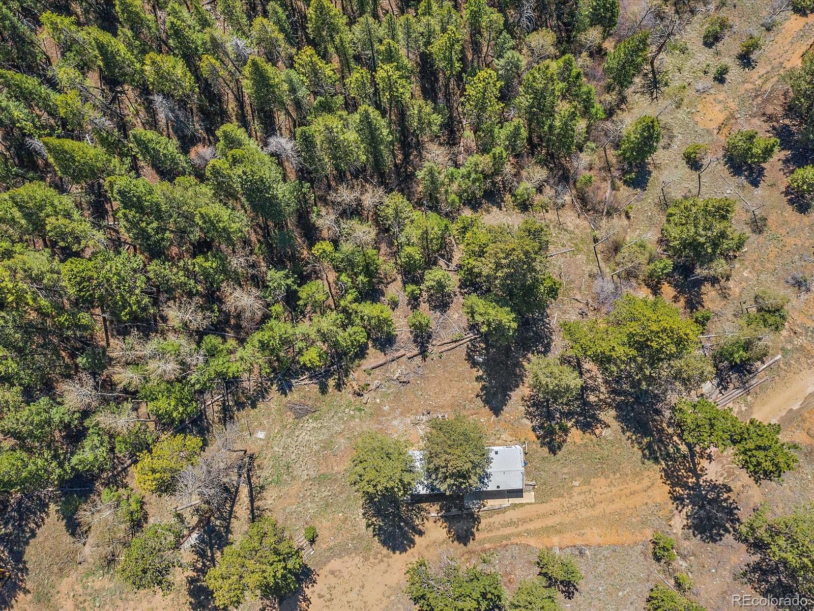MLS Image #4 for 1448 s ridge road,bailey, Colorado
