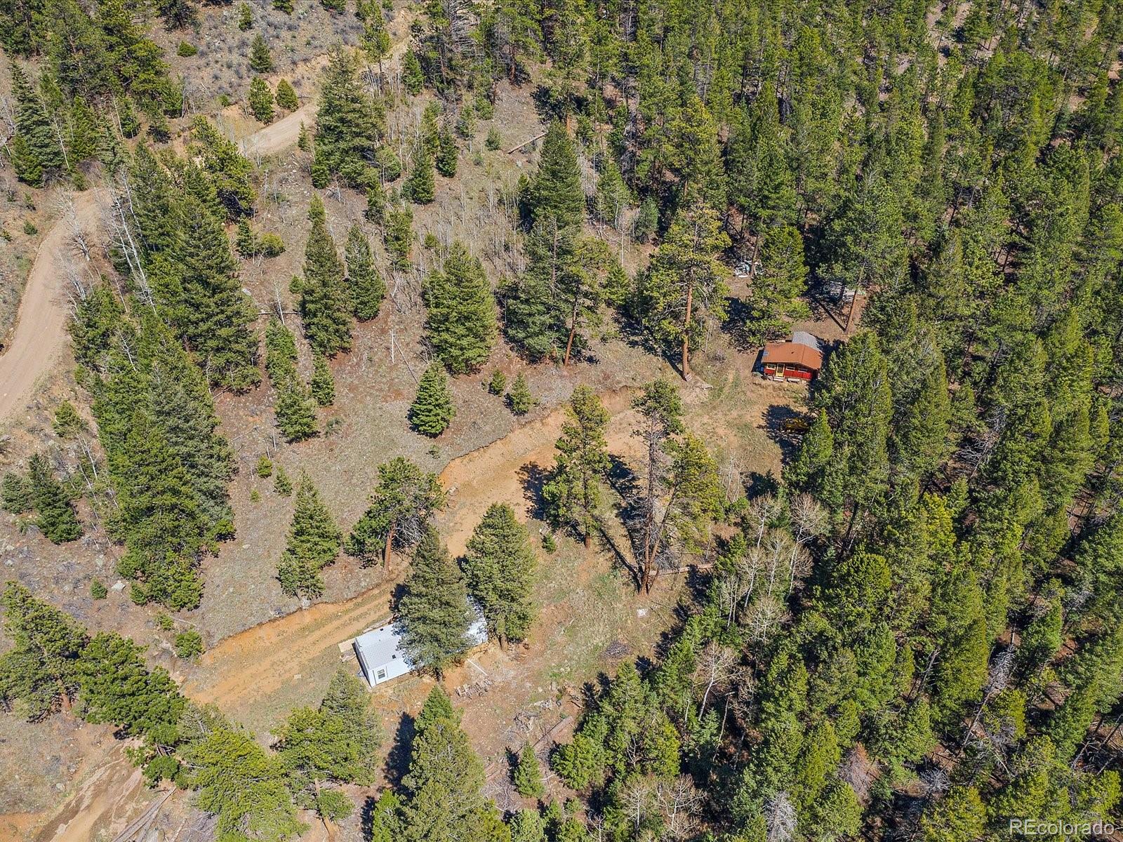 MLS Image #6 for 1448 s ridge road,bailey, Colorado